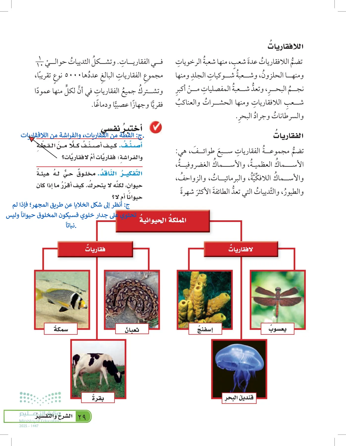 العلوم page-28