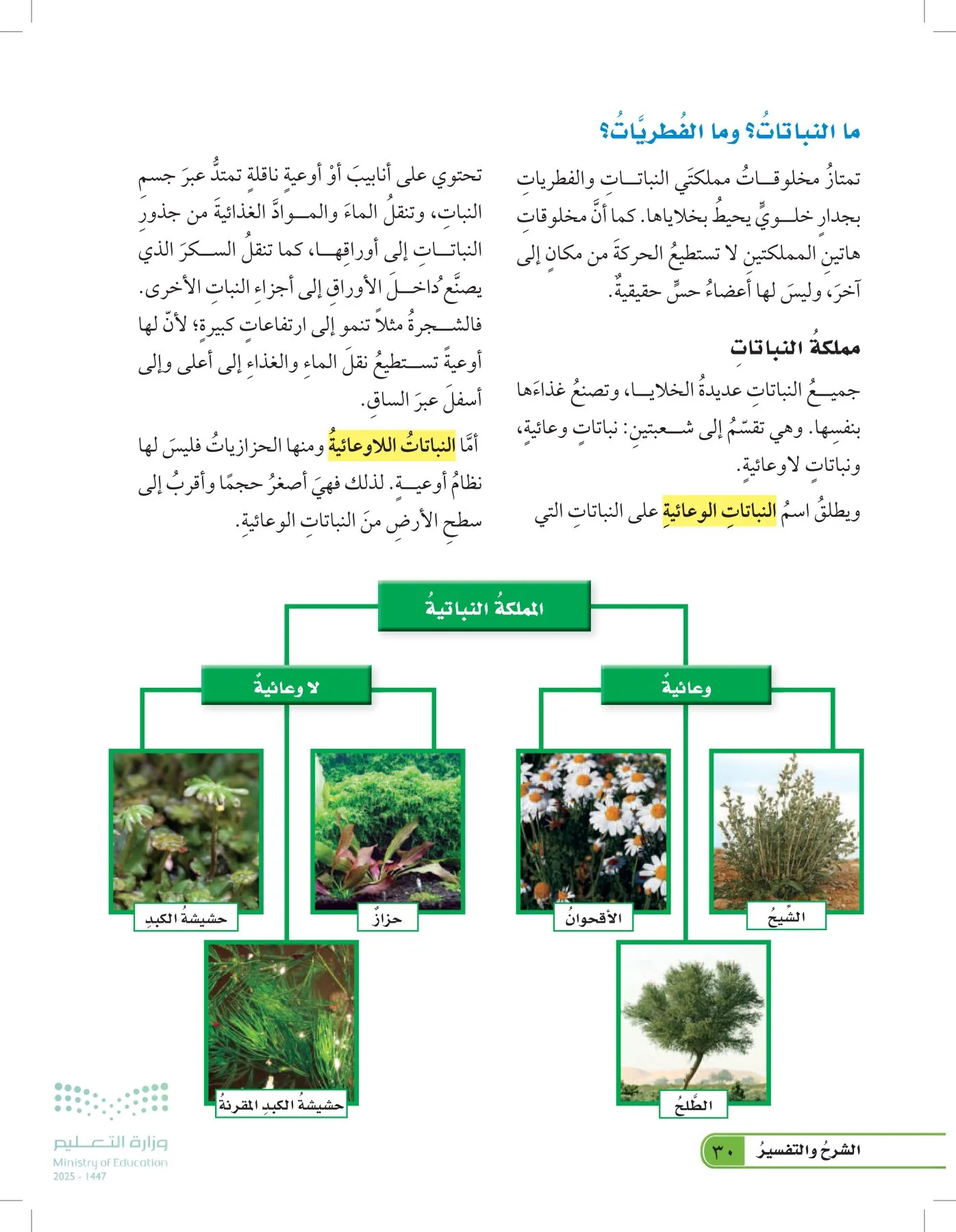 العلوم page-29