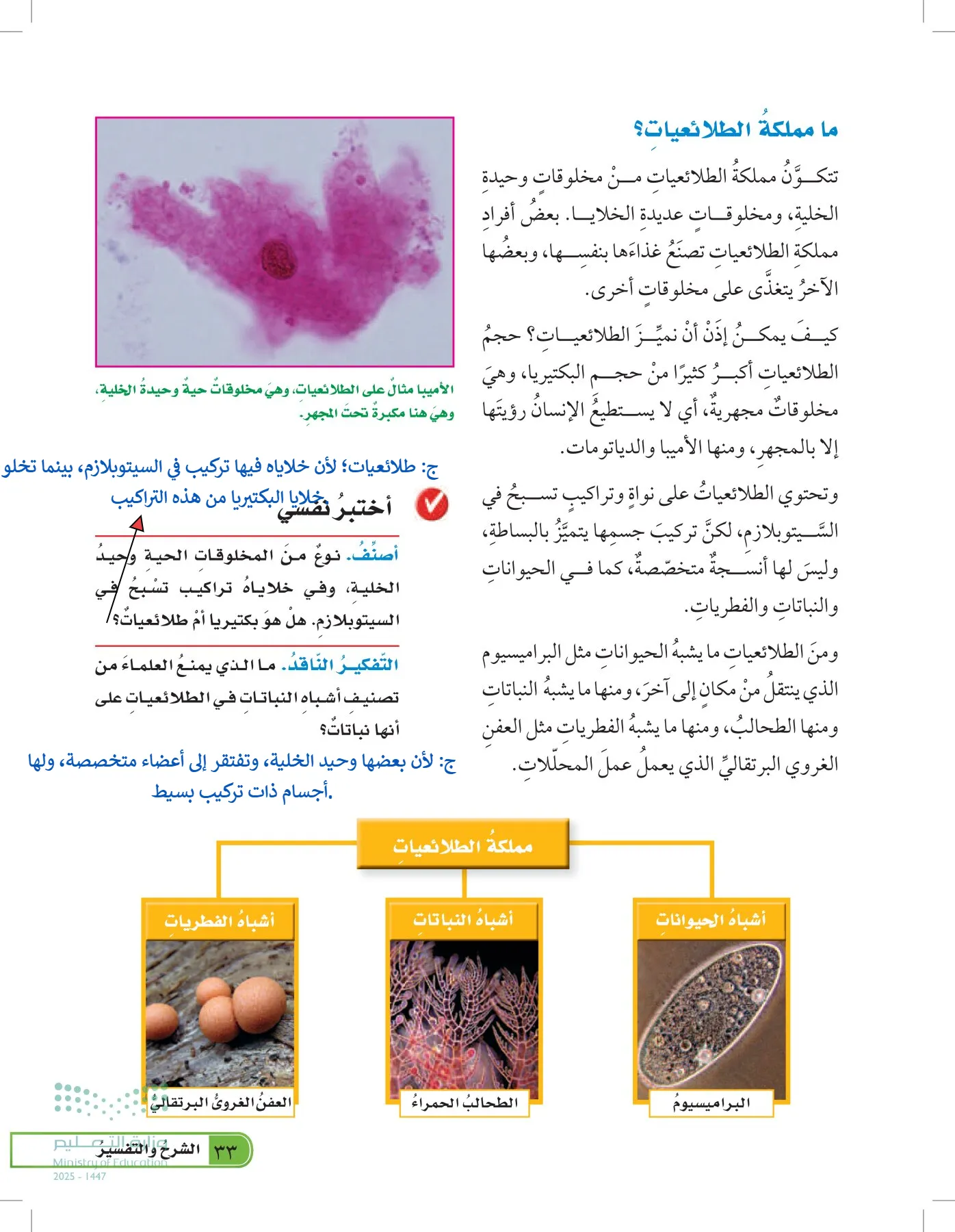 العلوم page-32