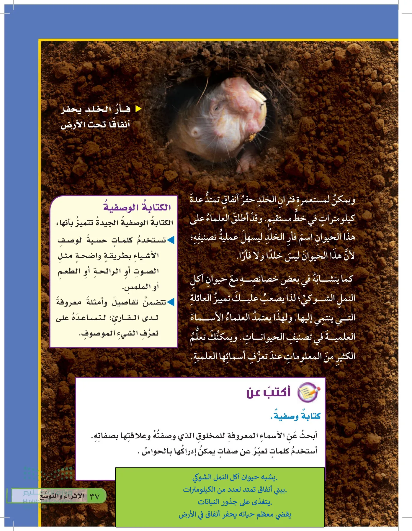 العلوم page-36
