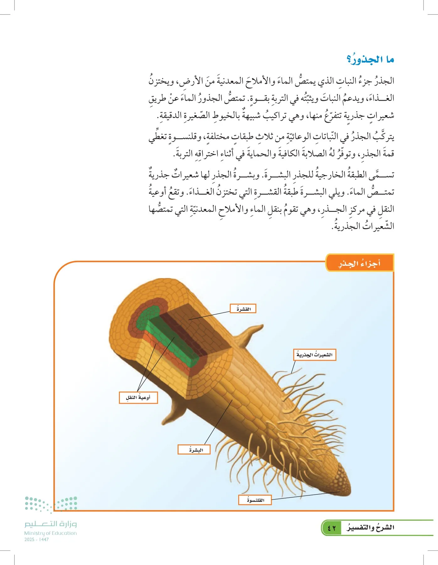 العلوم page-41