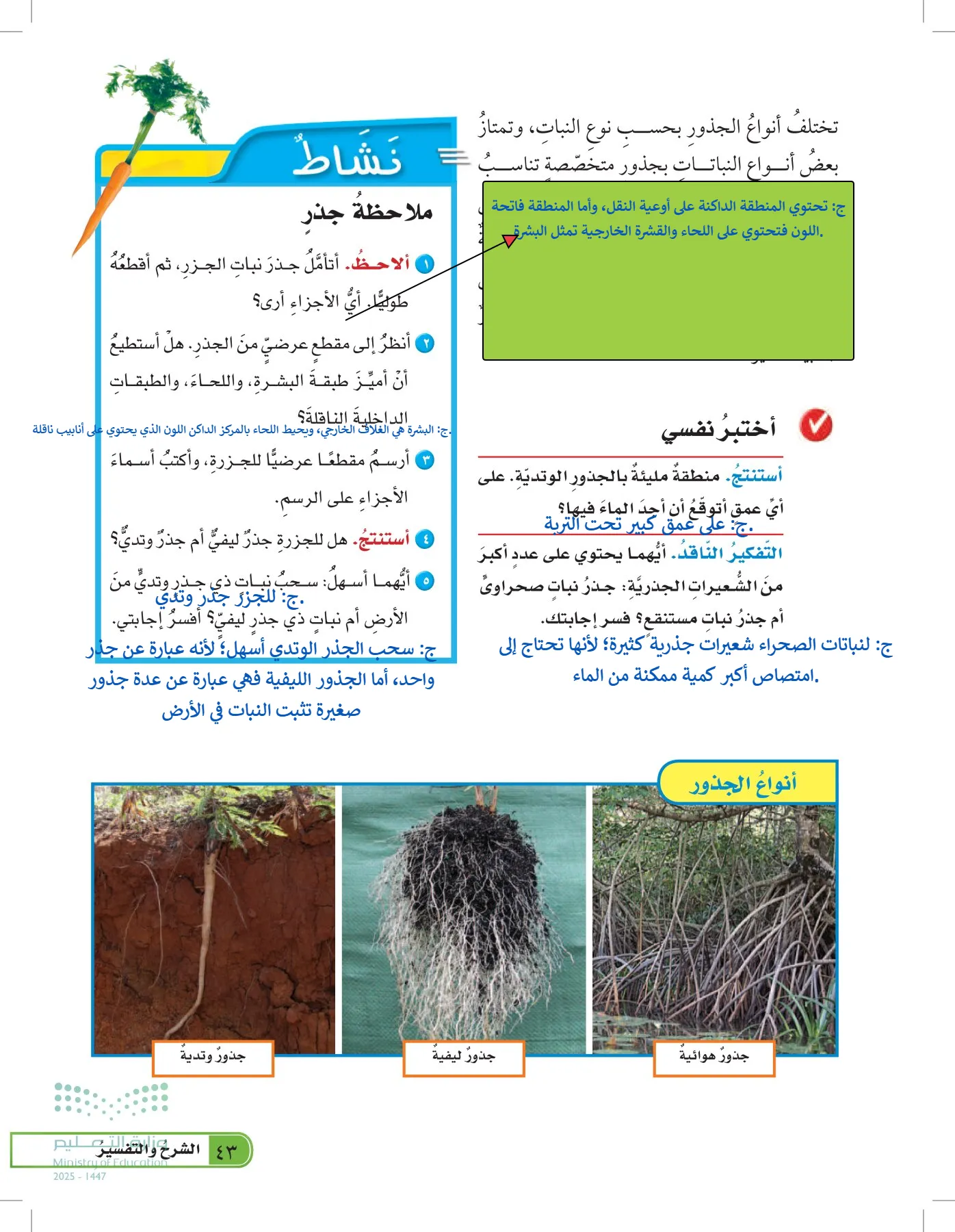 العلوم page-42