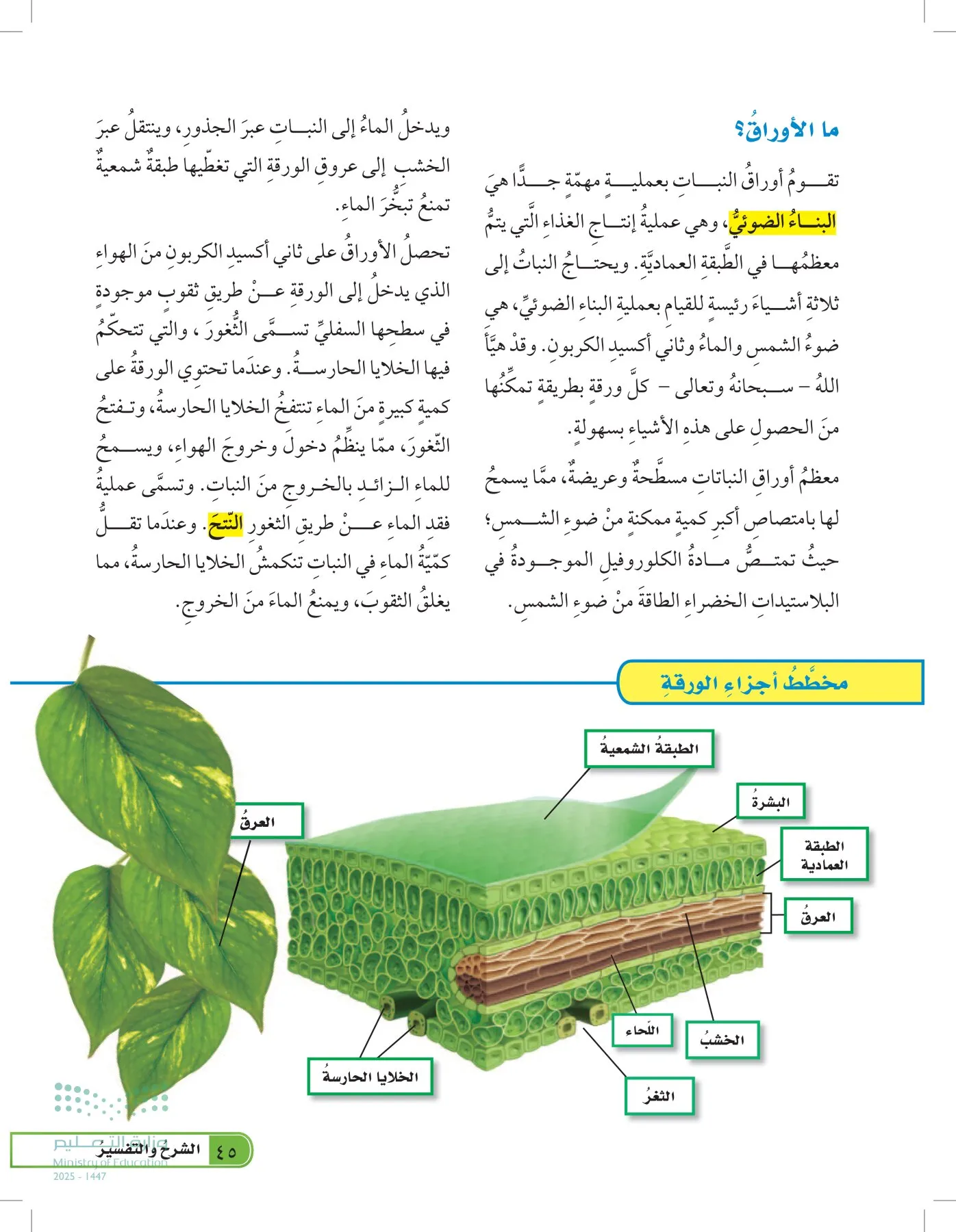 العلوم page-44