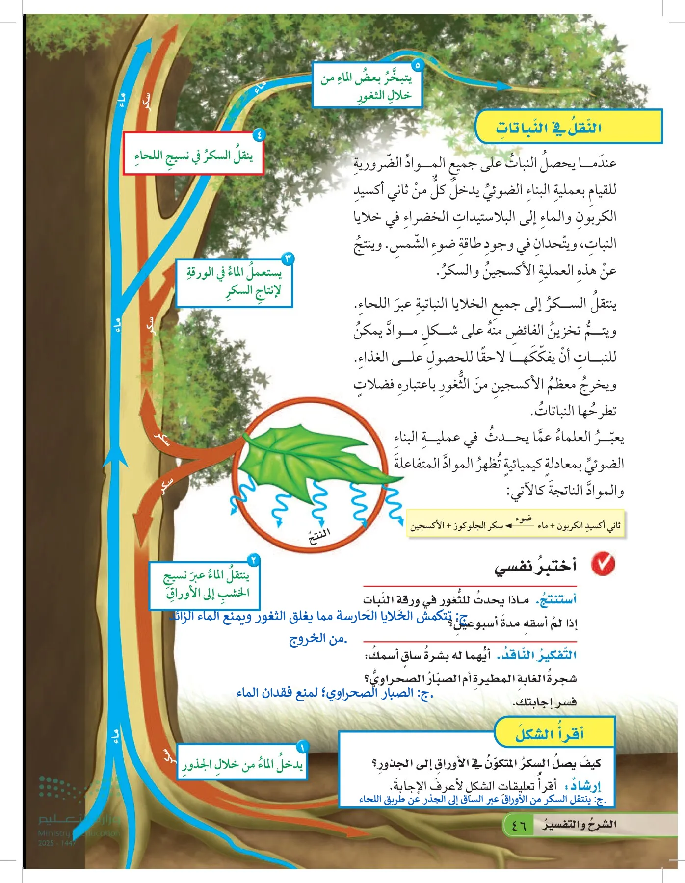 العلوم page-45
