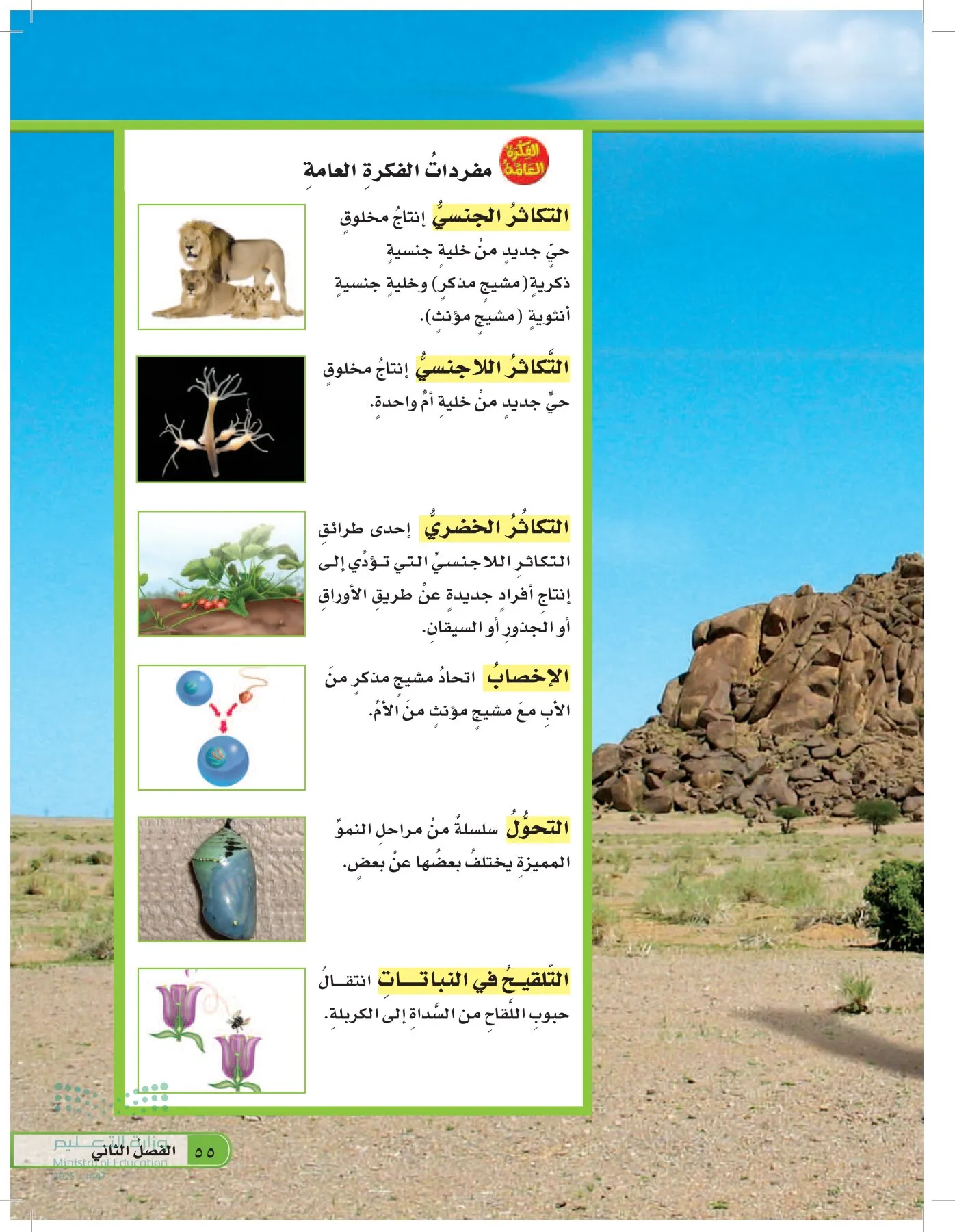 العلوم page-54