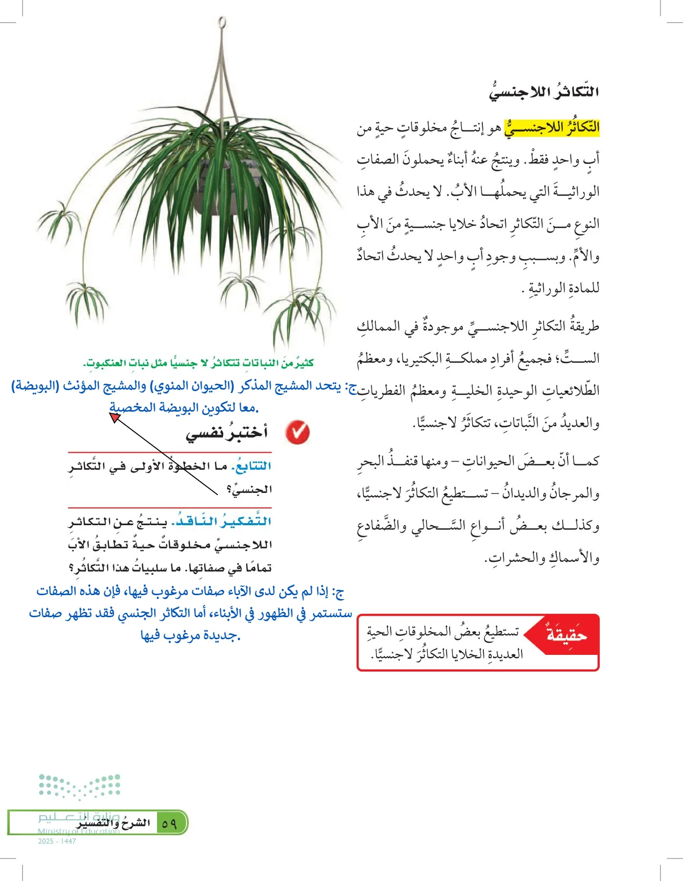 العلوم page-58