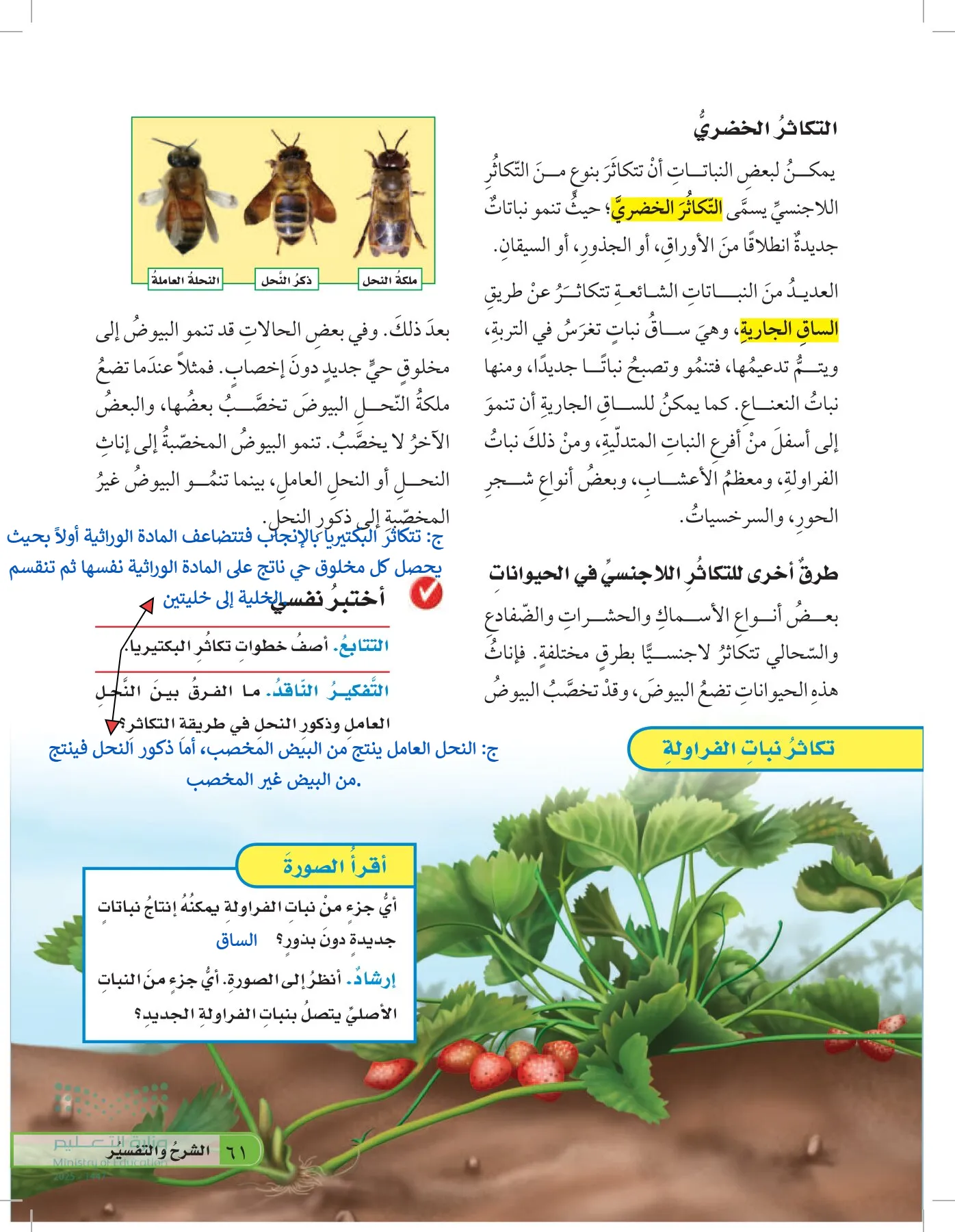 العلوم page-60