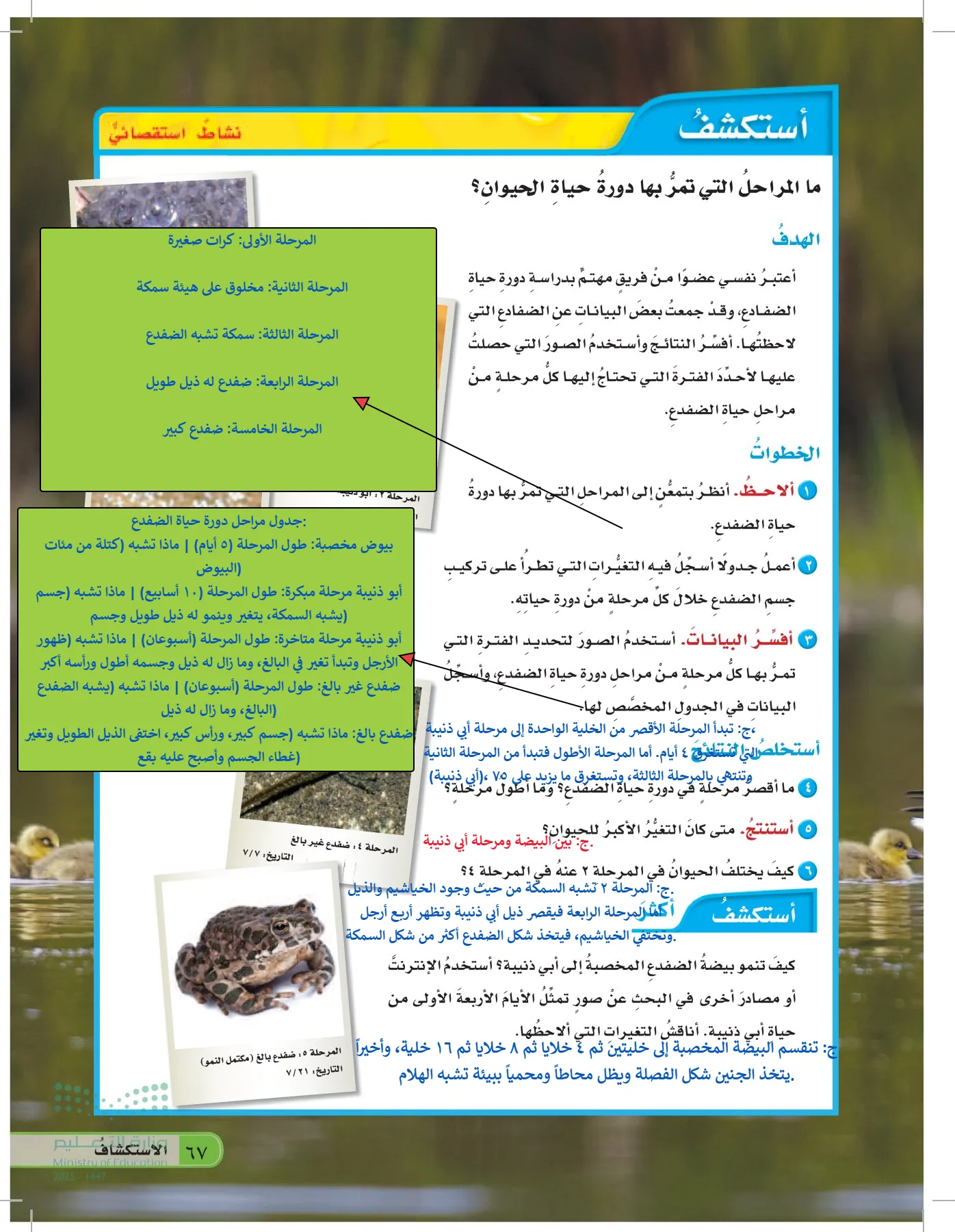العلوم page-66