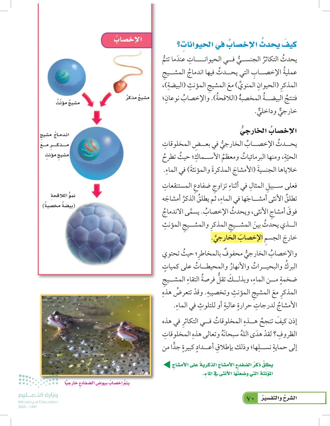 العلوم page-69