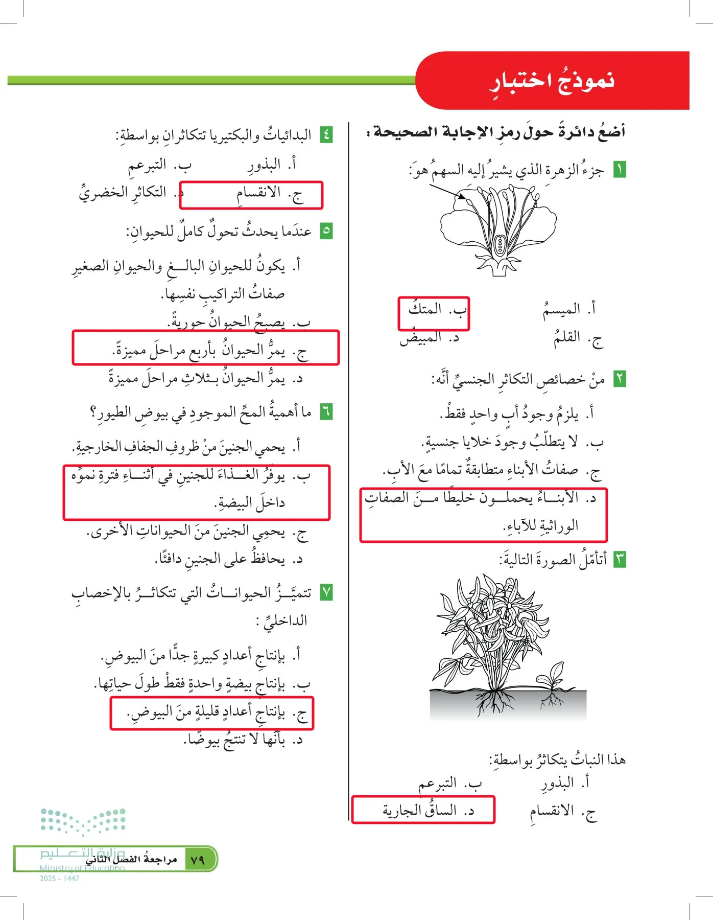 العلوم page-78