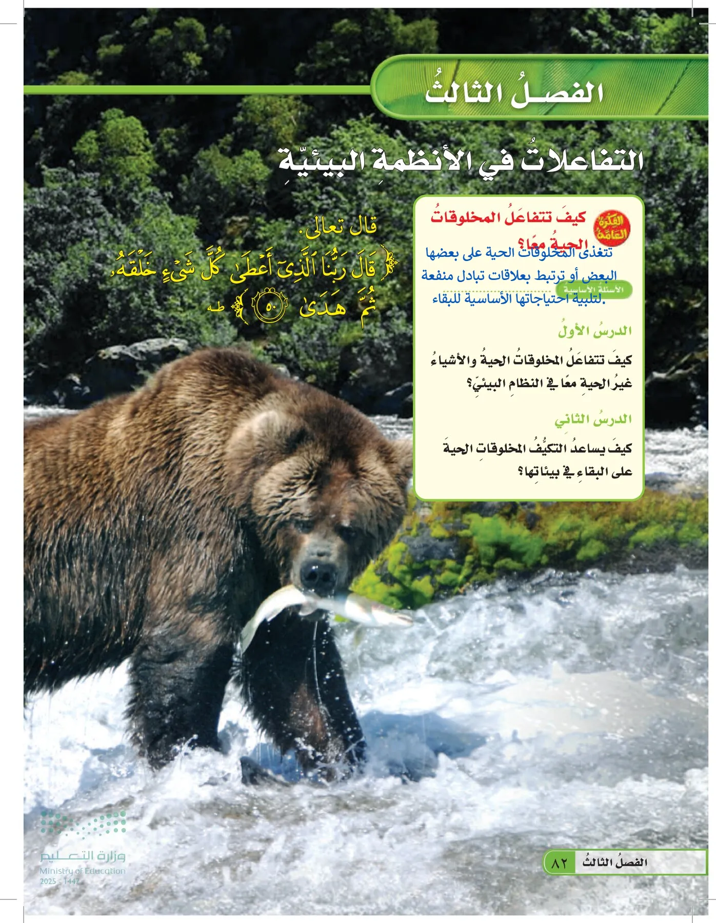 العلوم page-81