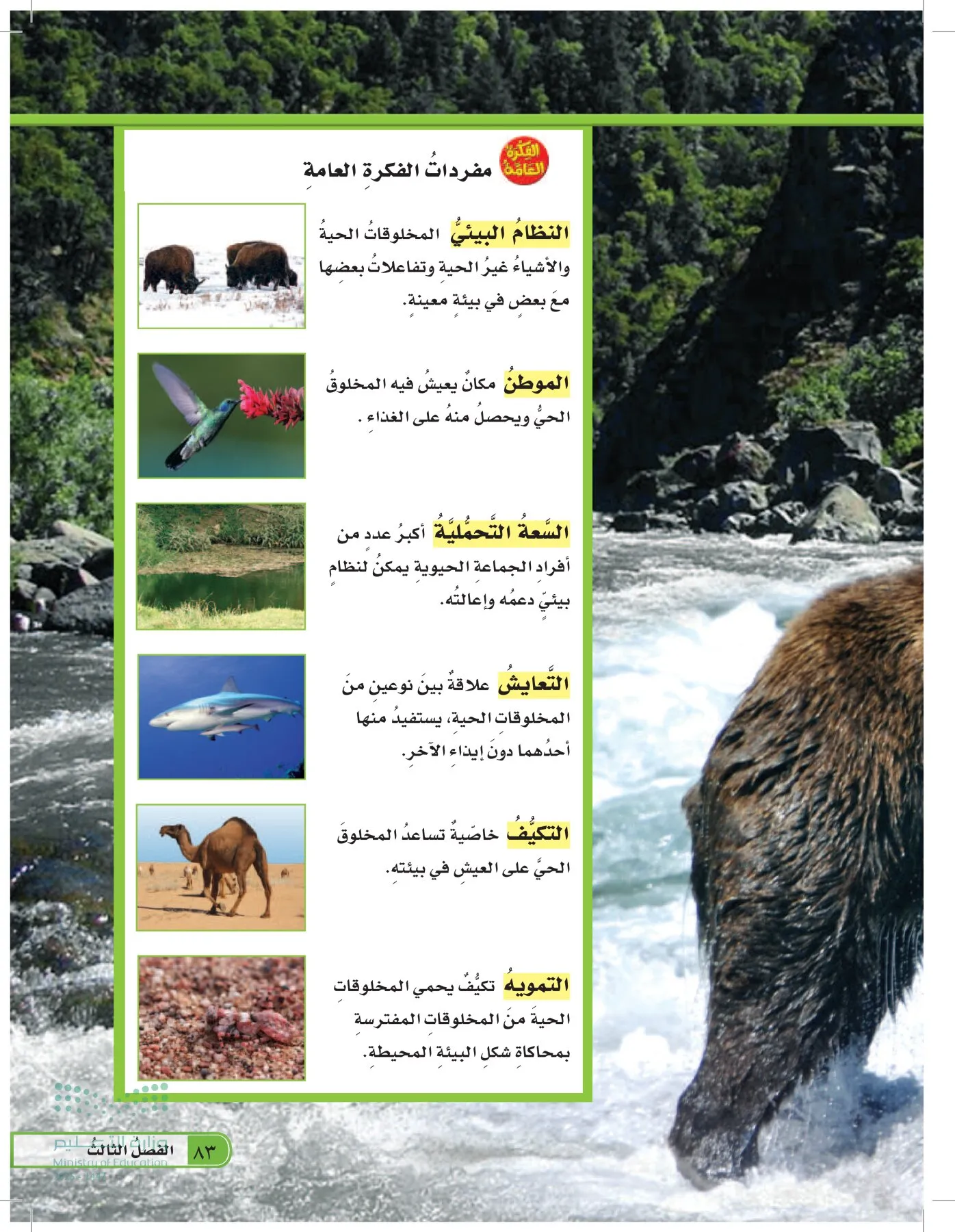 العلوم page-82