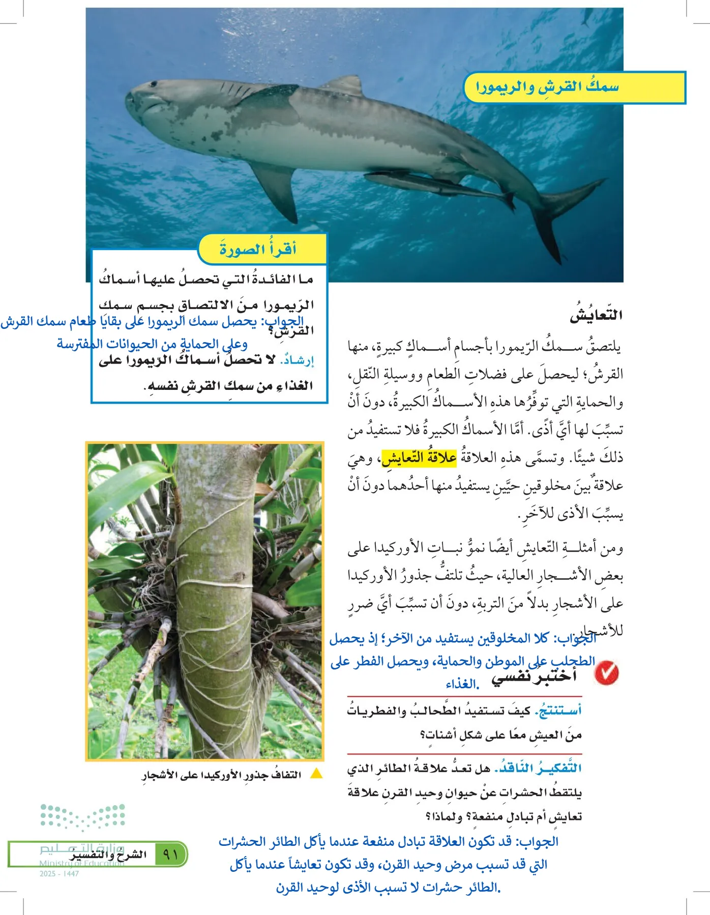 العلوم page-90