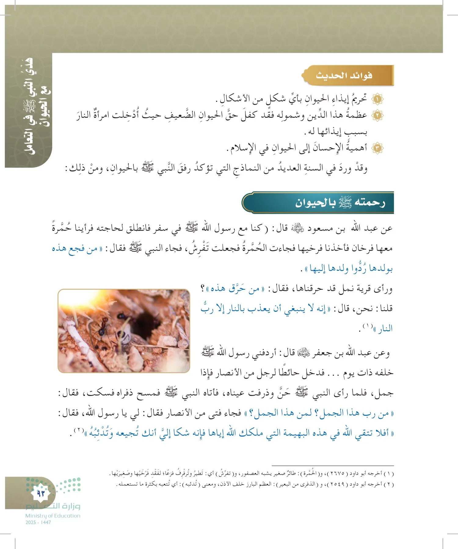 الدراسات الإسلامية (التوحيد- الحديث والسيرة - الفقه والسلوك) page-92