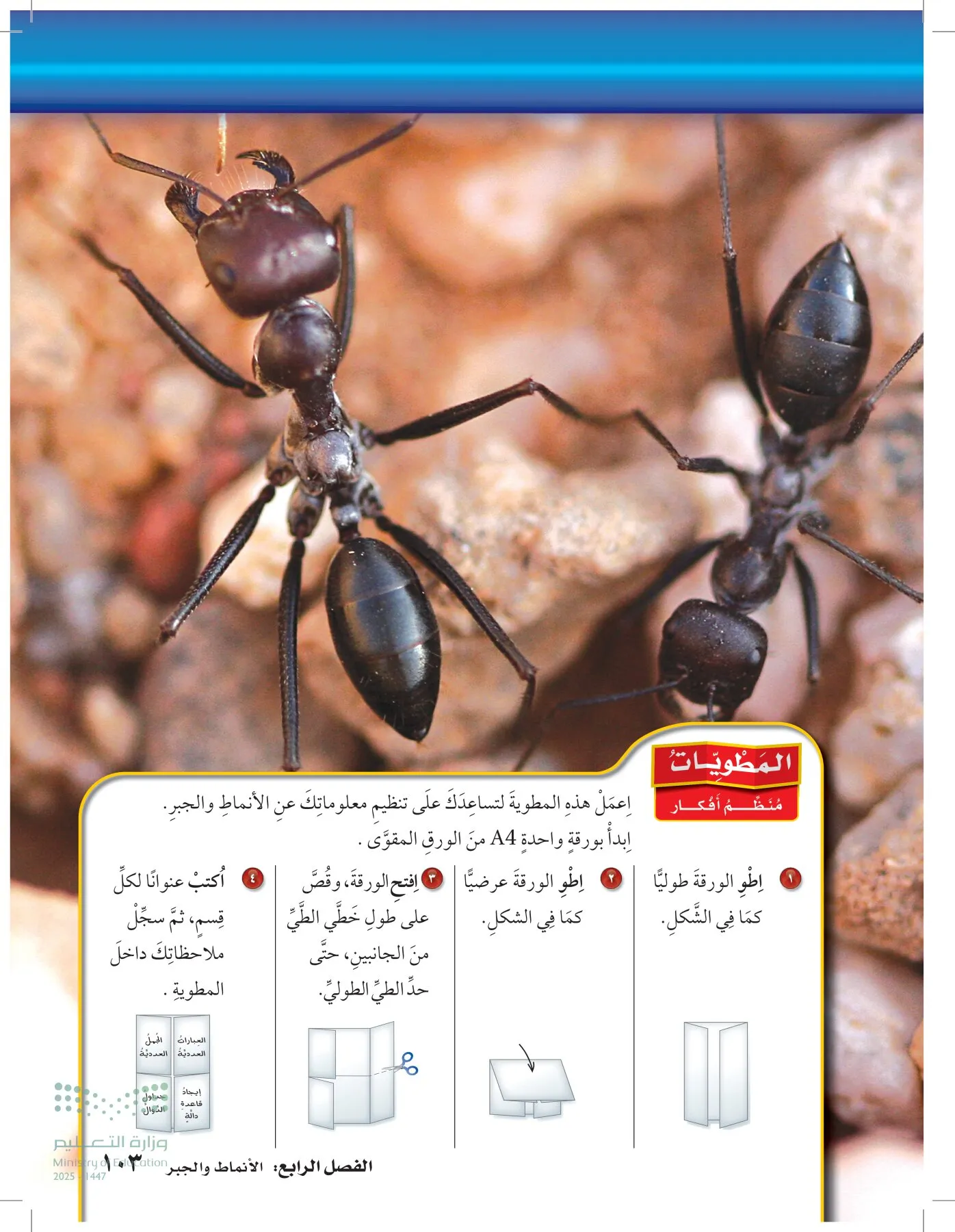 الرياضيات page-102
