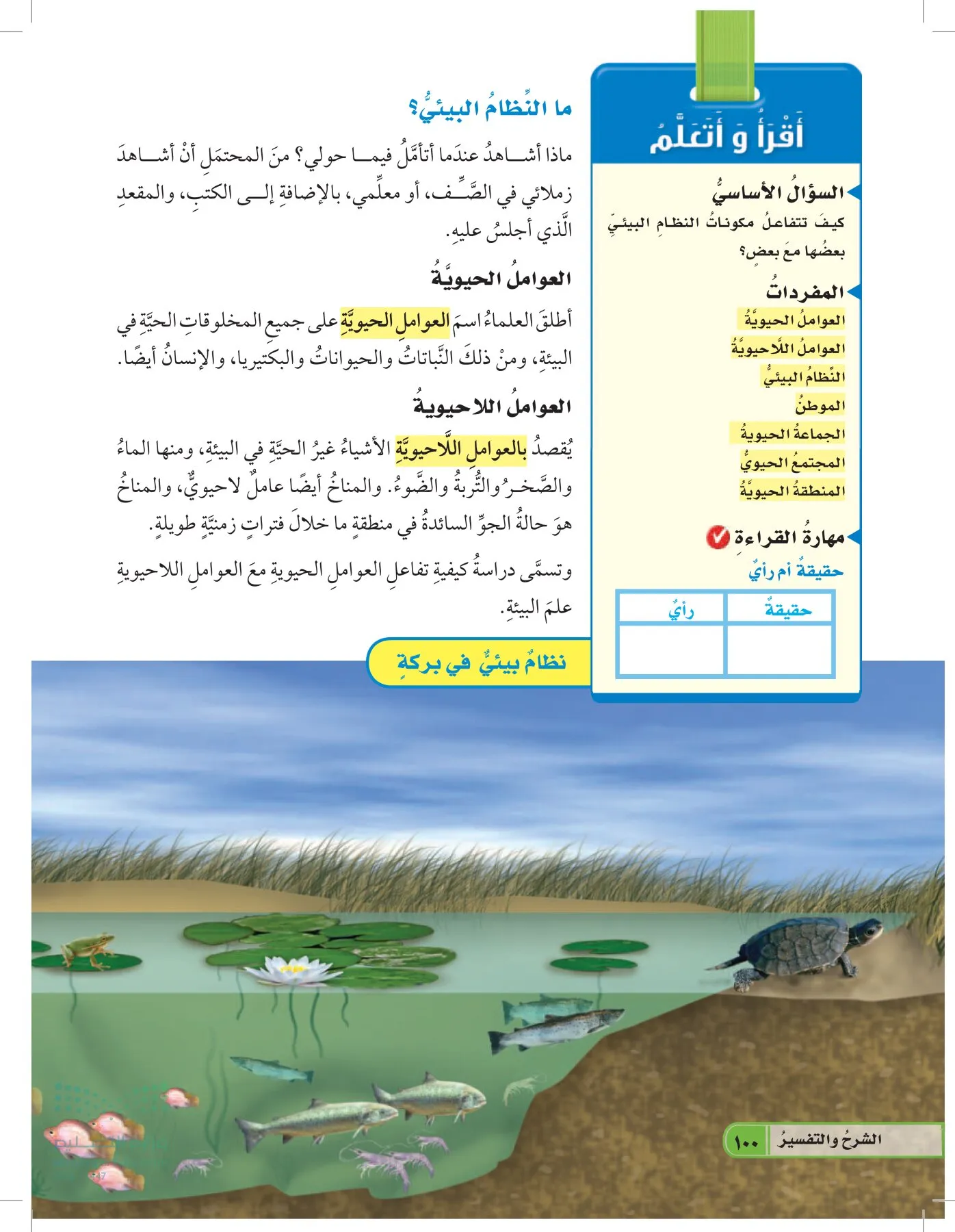 العلوم page-99