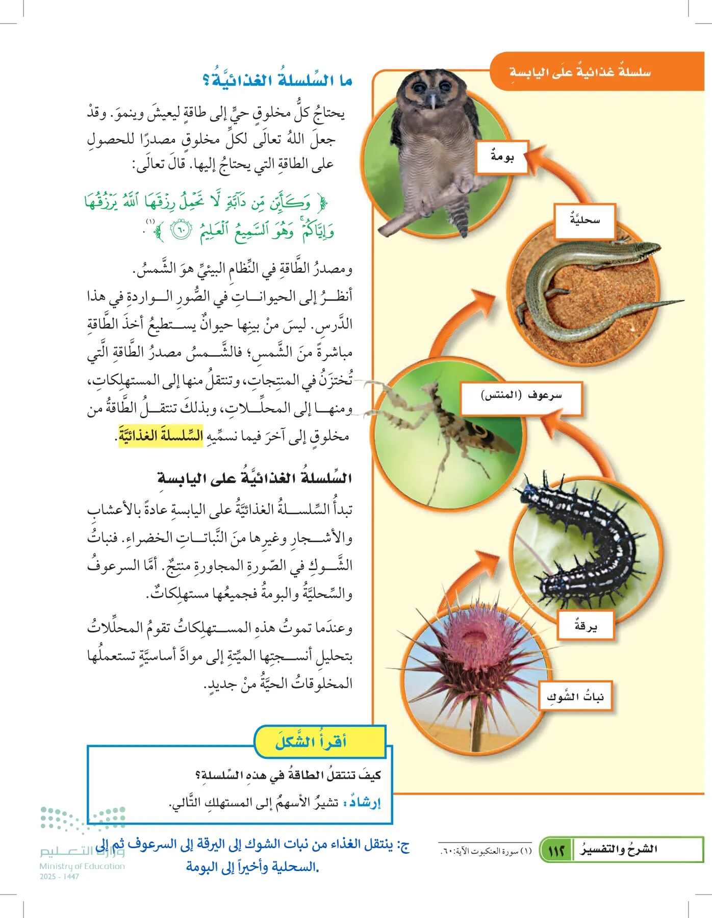 العلوم page-111