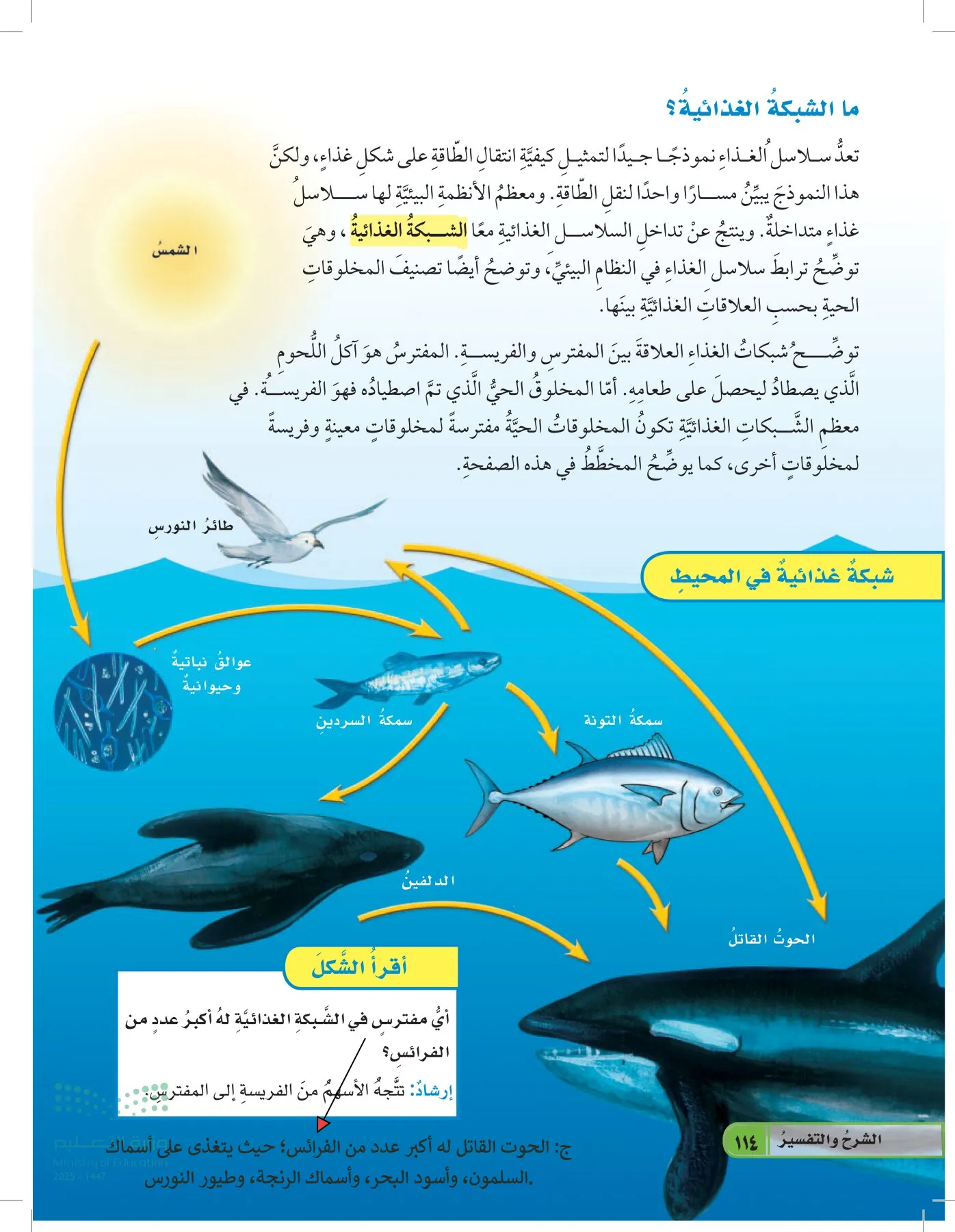 العلوم page-113