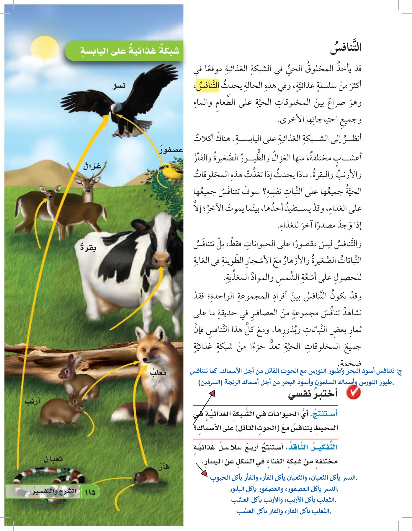 العلوم page-114