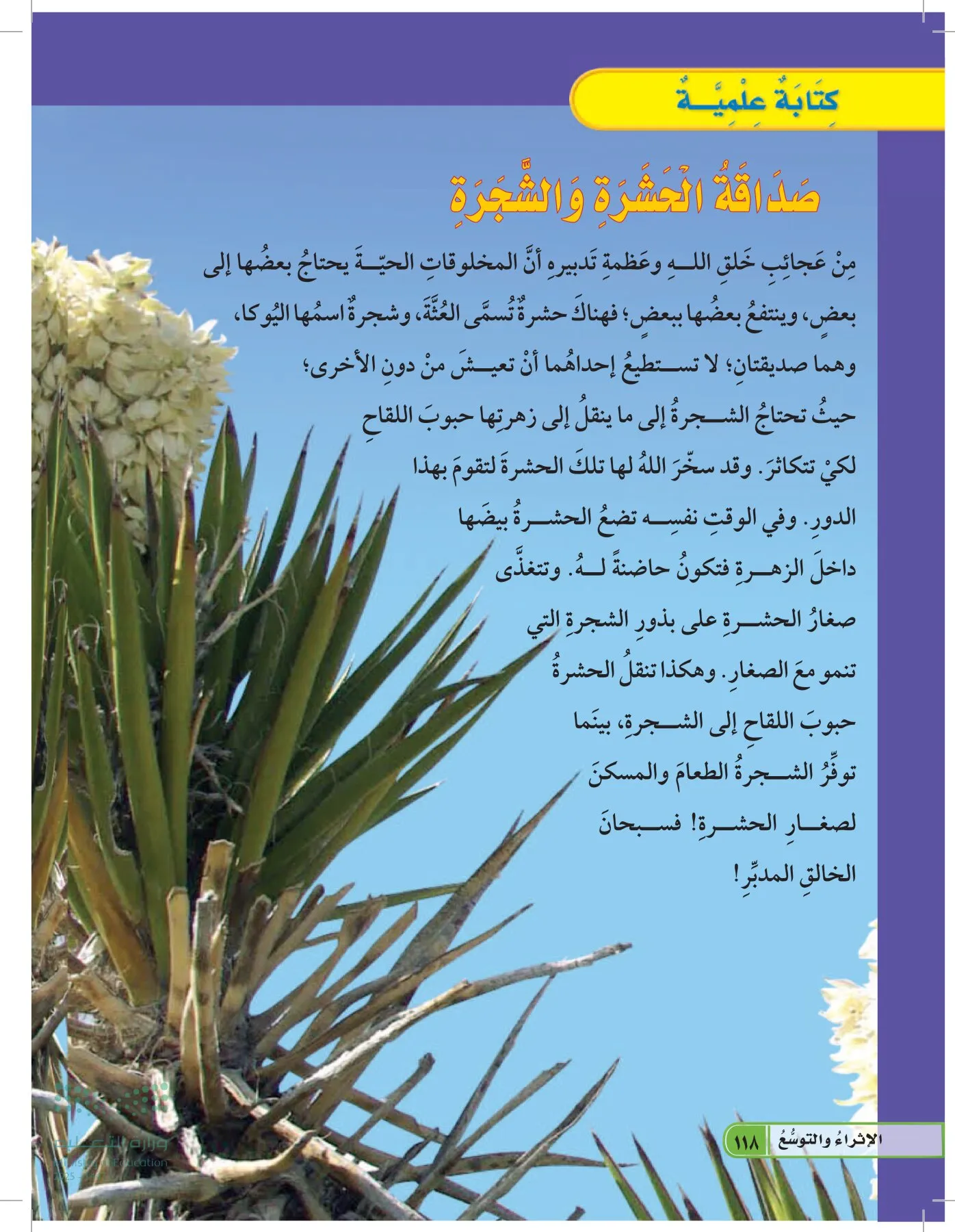 العلوم page-117