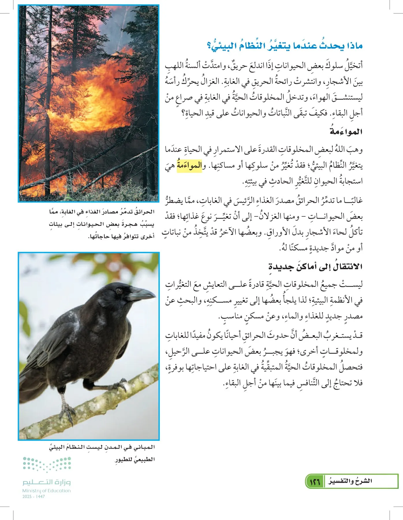 العلوم page-125