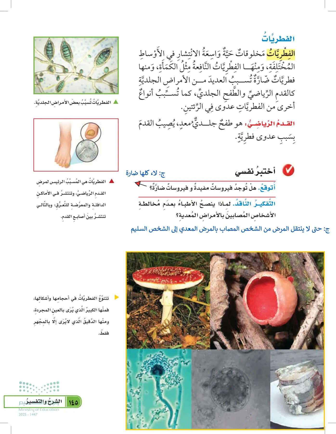 العلوم page-144