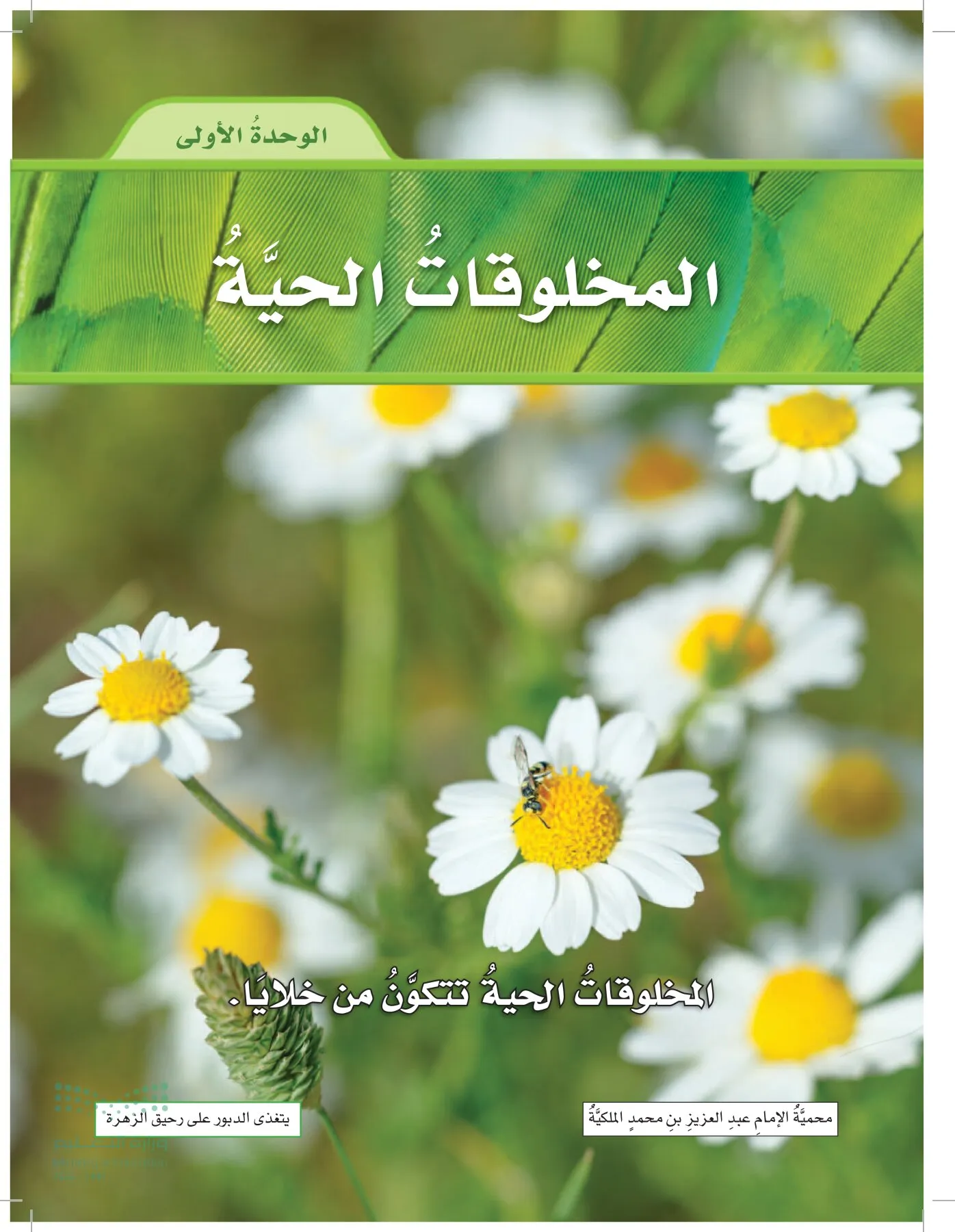 العلوم page-22