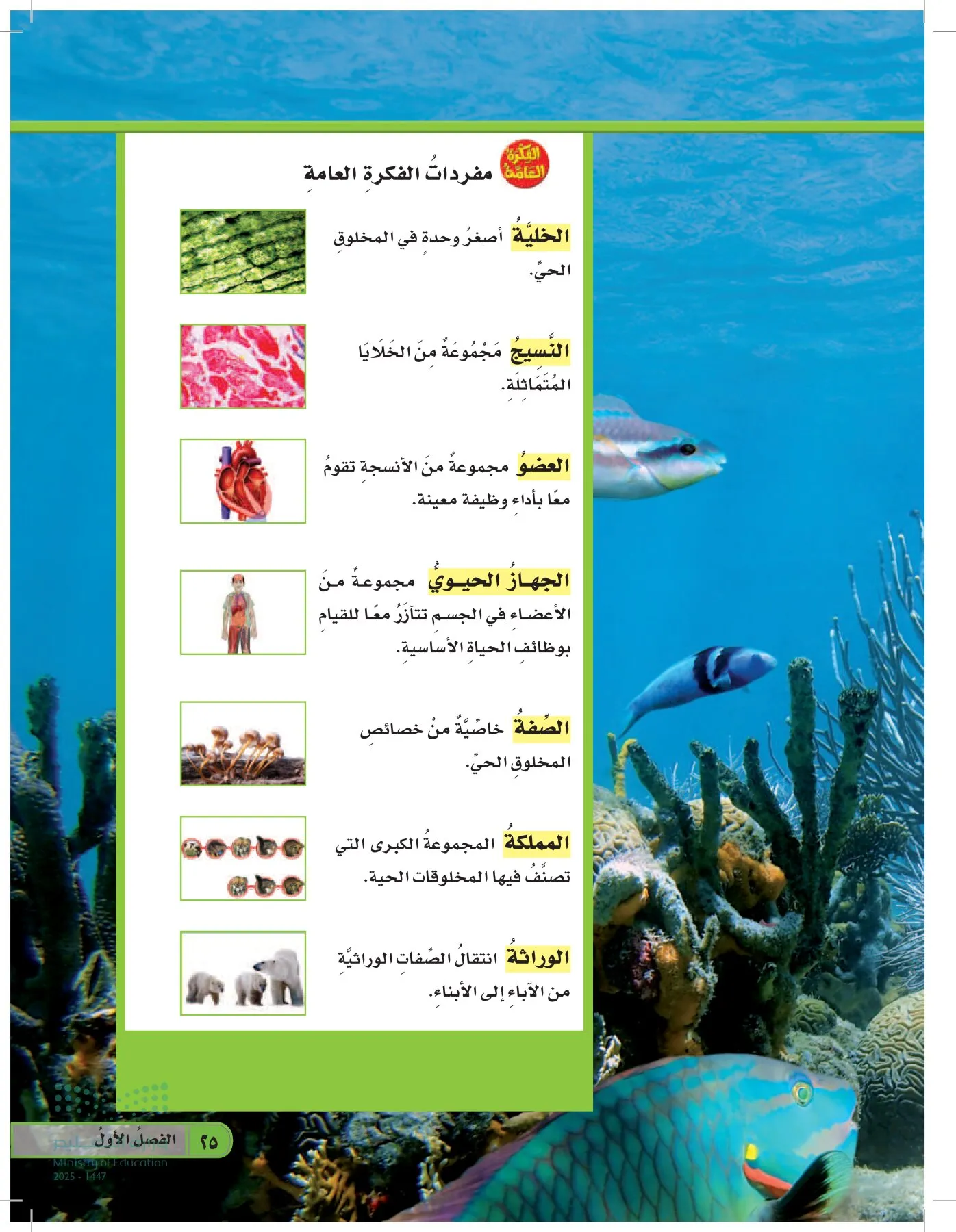 العلوم page-24