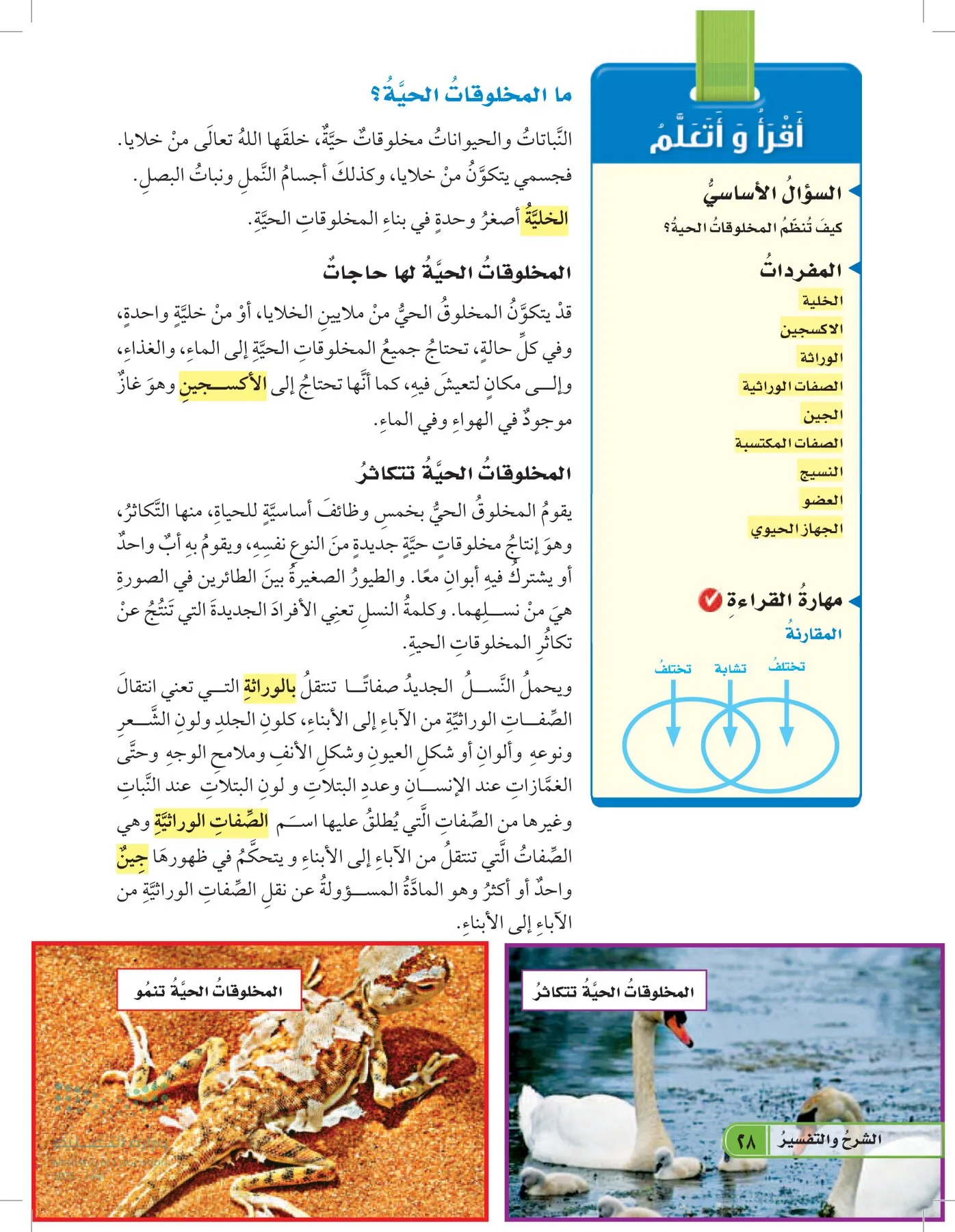 العلوم page-27