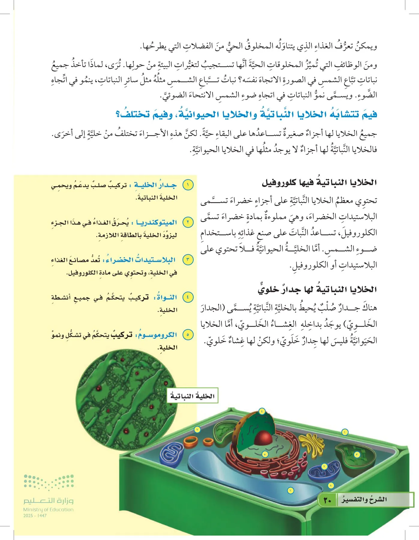 العلوم page-29