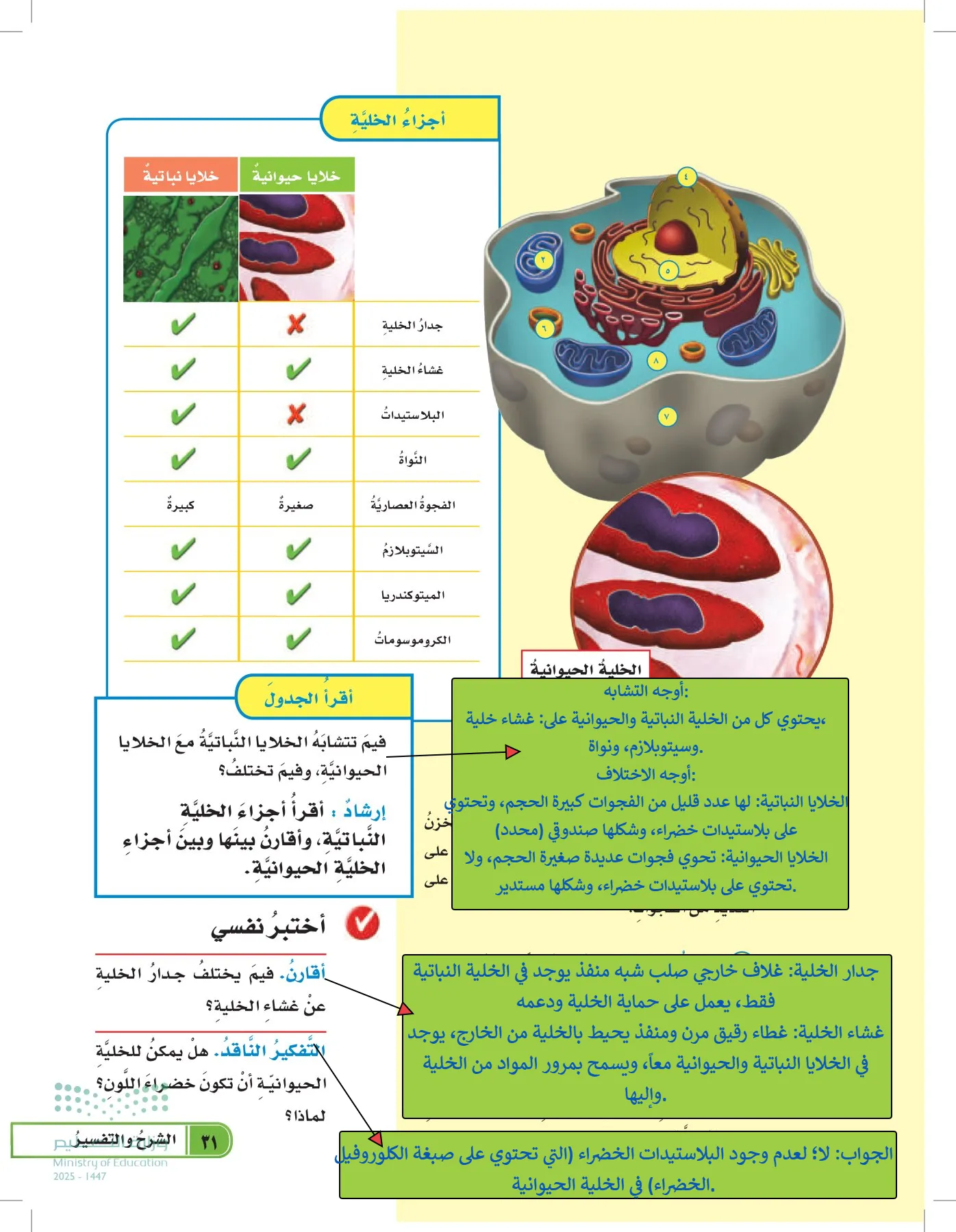 العلوم page-30