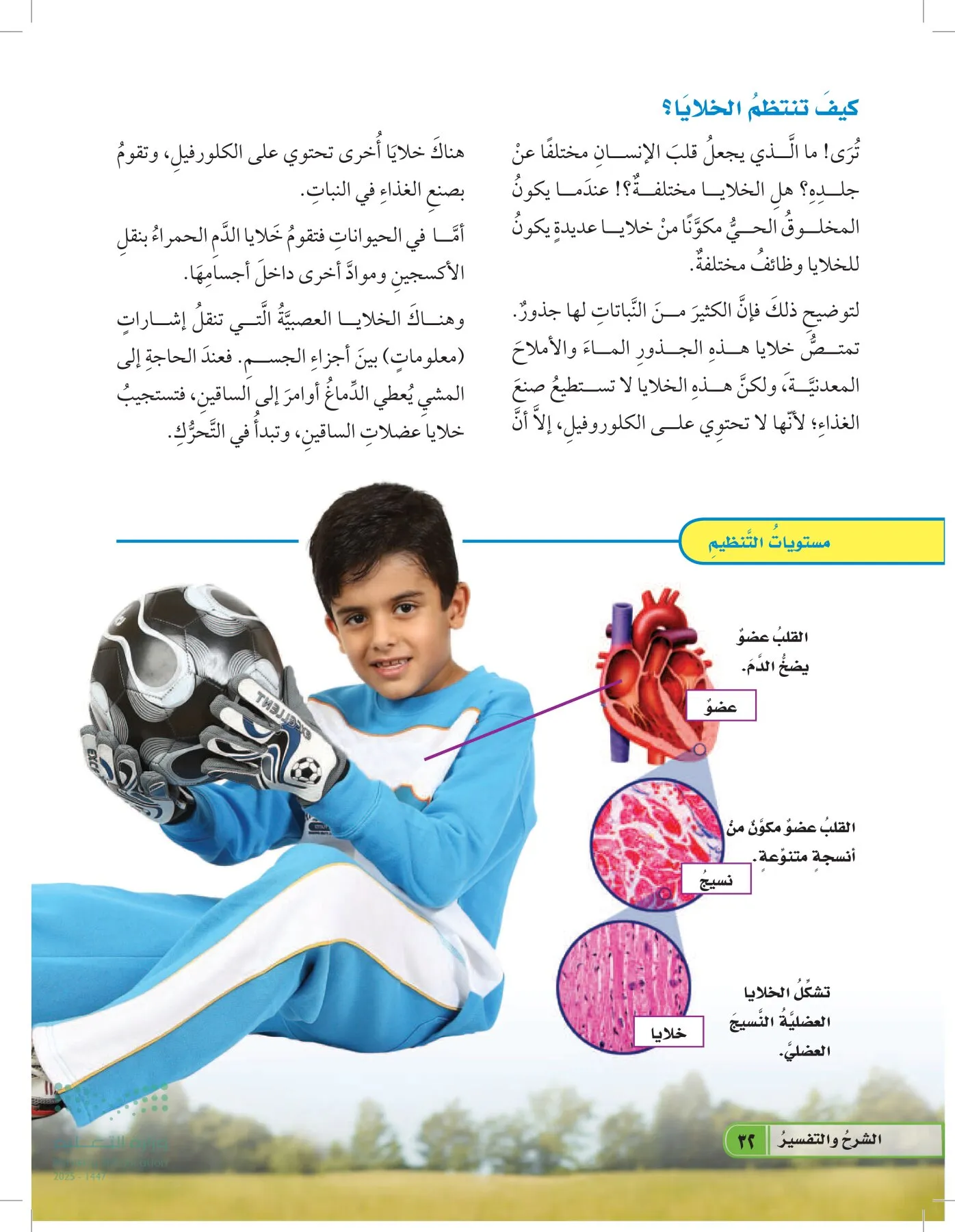 العلوم page-31
