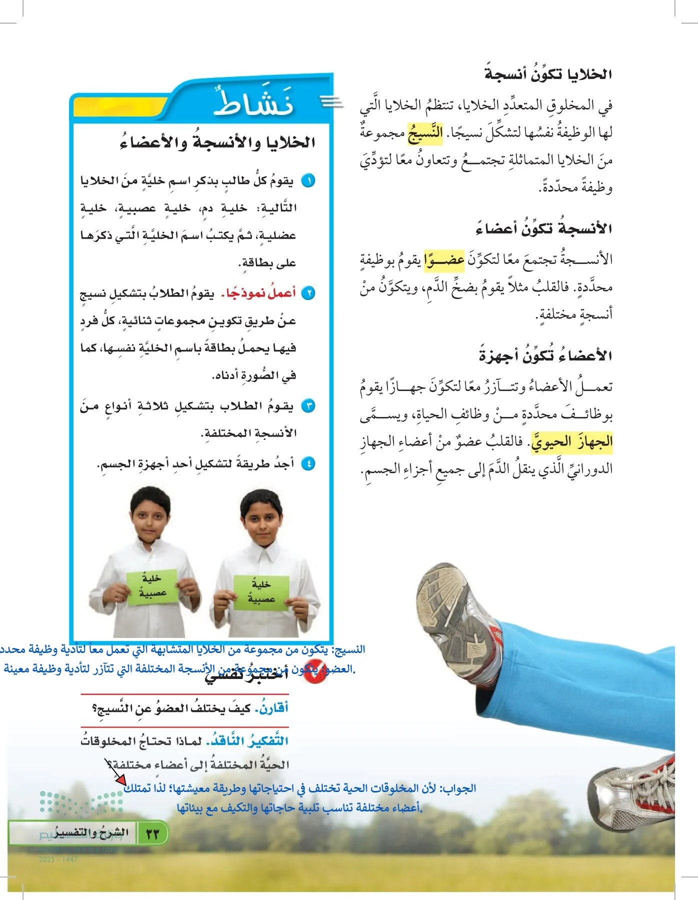 العلوم page-32