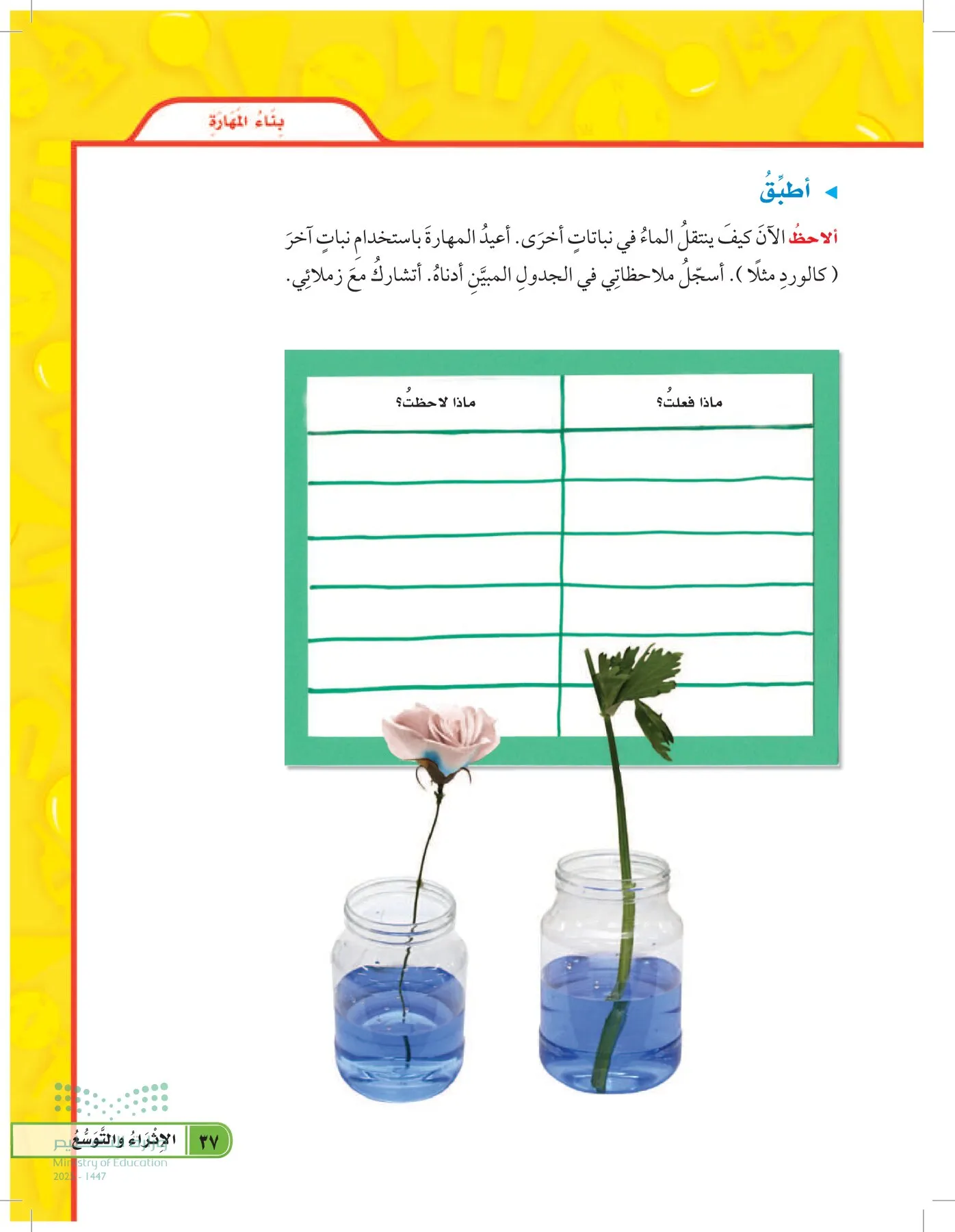 العلوم page-36