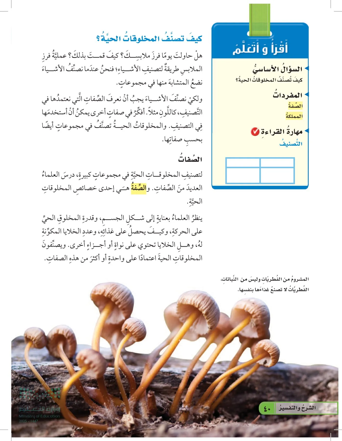 العلوم page-39