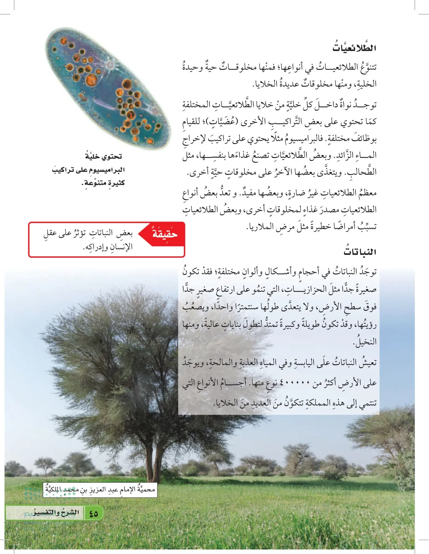 العلوم page-44