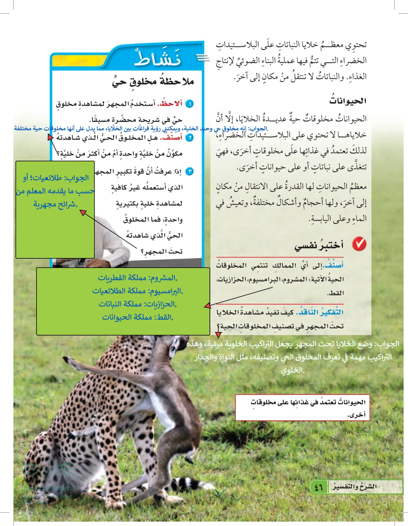العلوم page-45