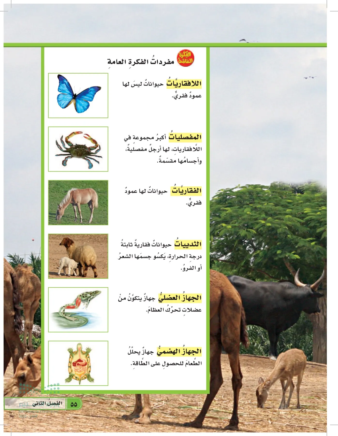 العلوم page-54