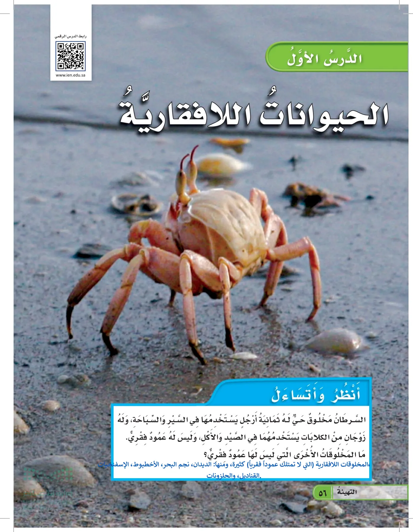 العلوم page-55