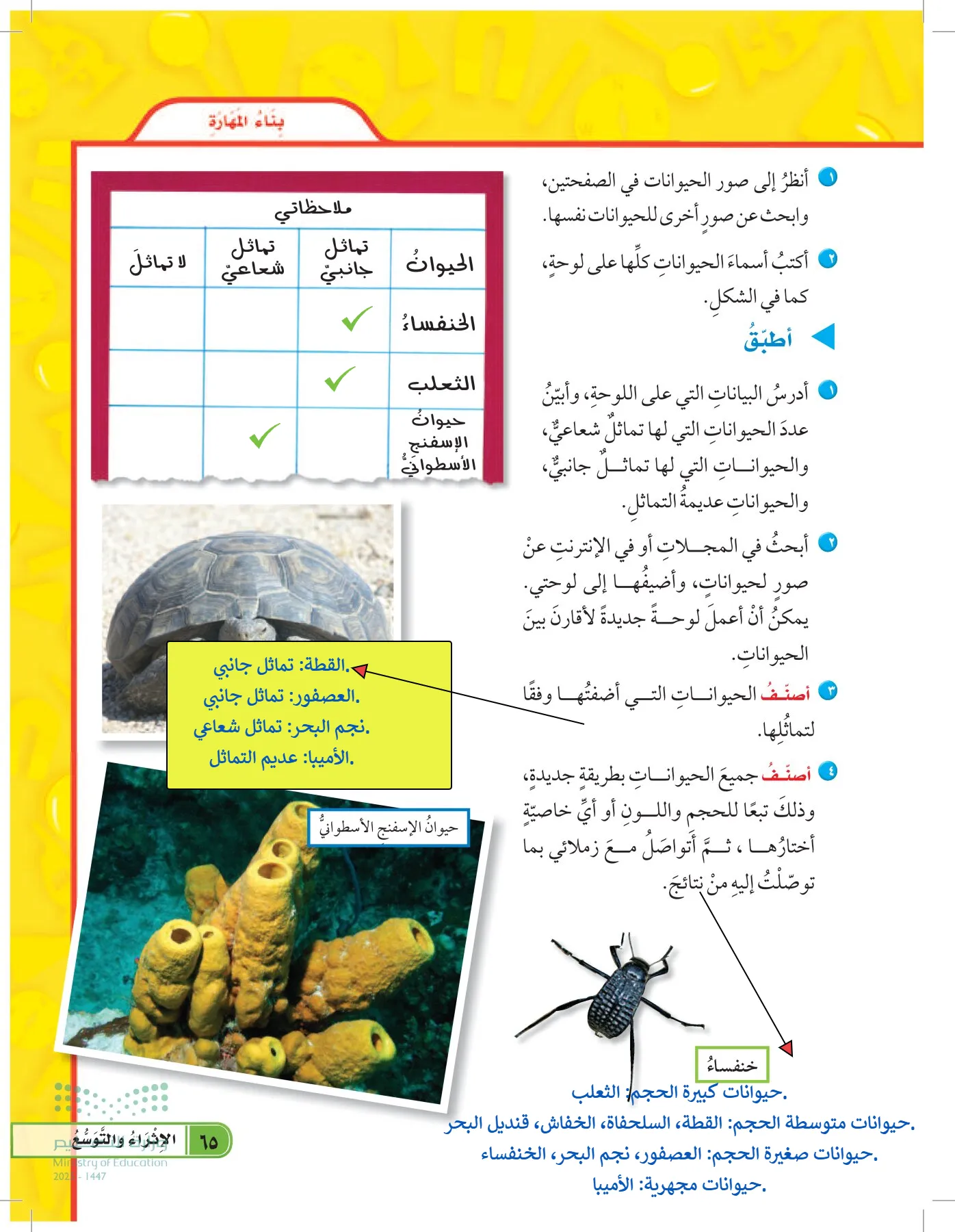 العلوم page-64