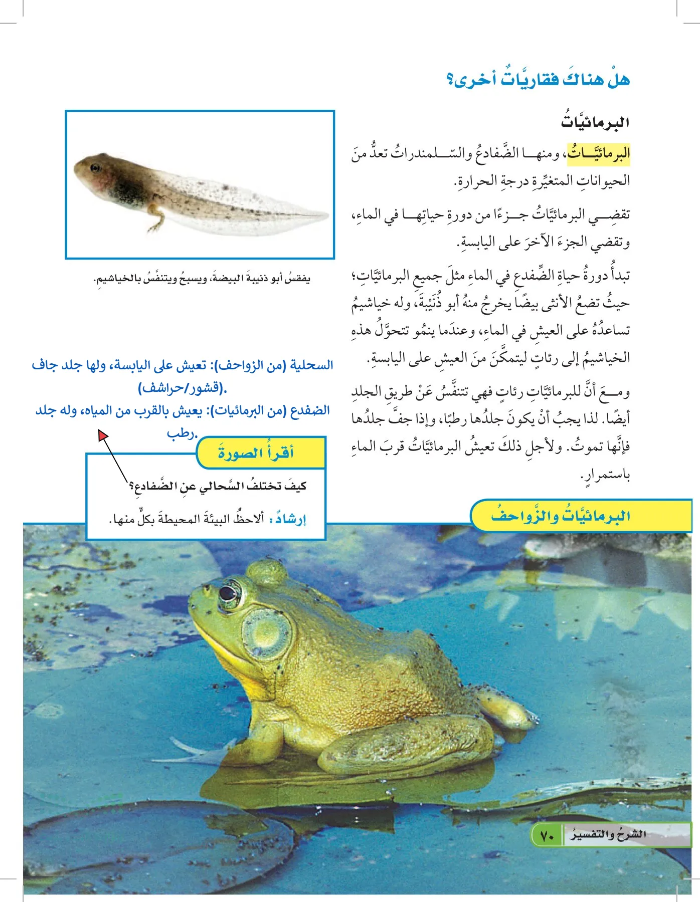 العلوم page-69
