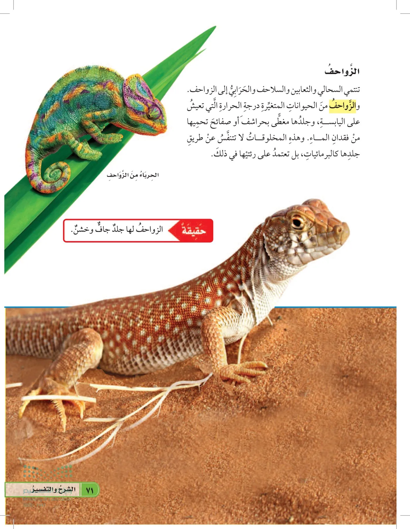 العلوم page-70