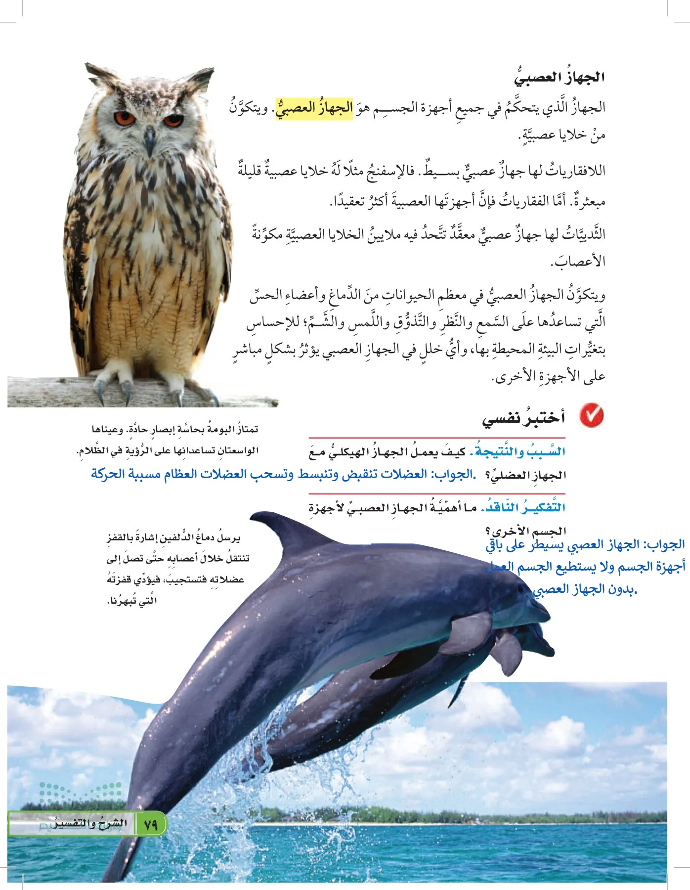 العلوم page-78