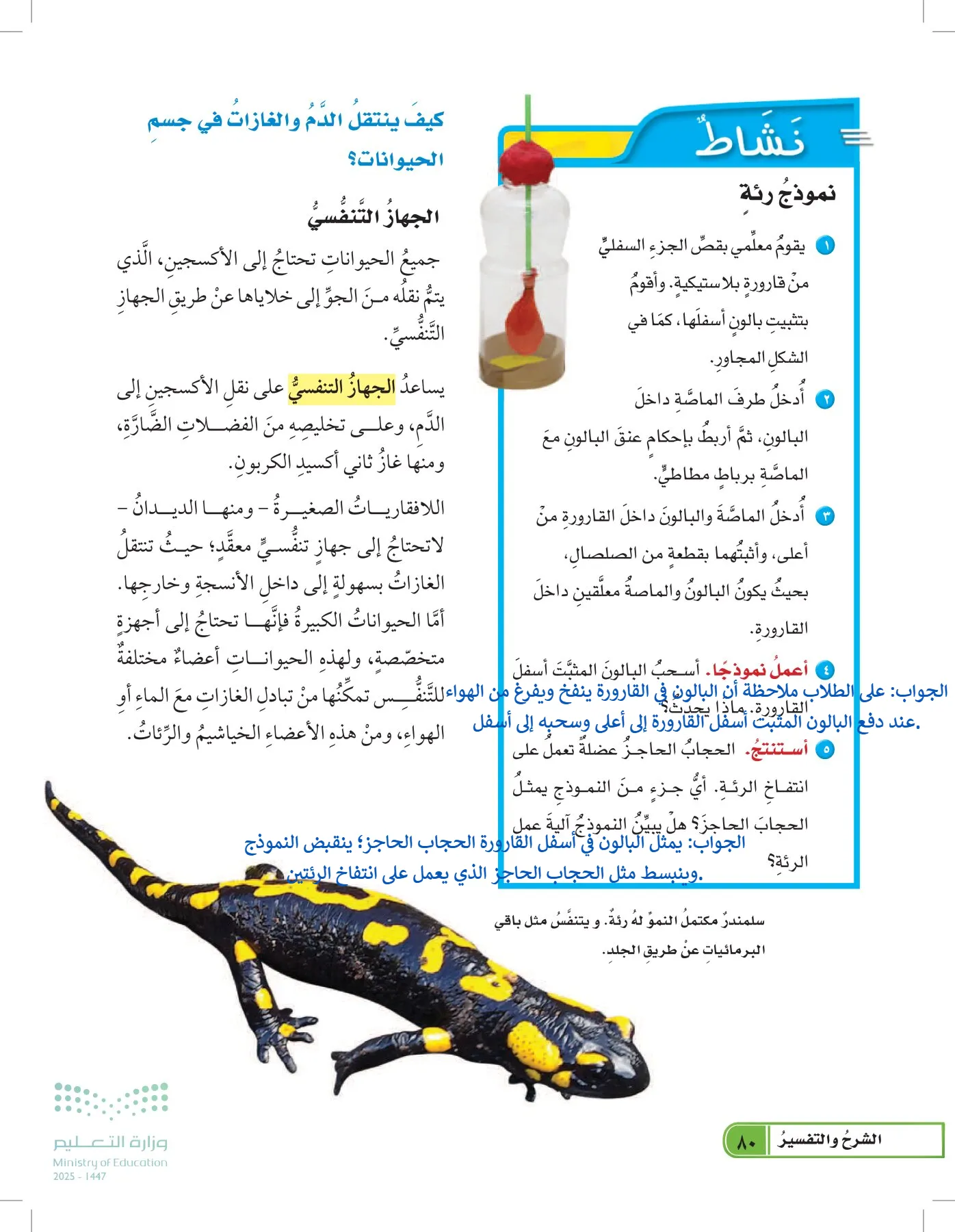 العلوم page-79