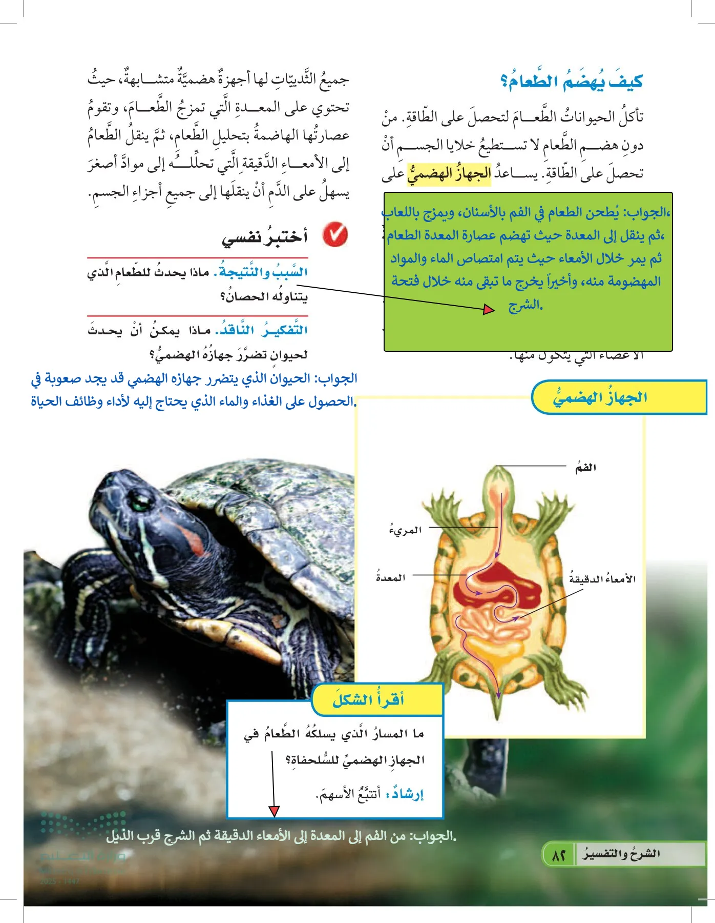 العلوم page-81