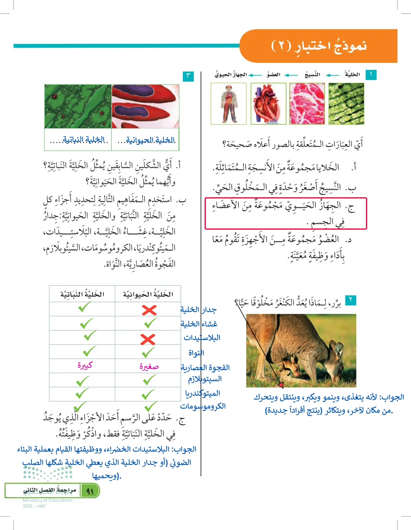 العلوم page-90