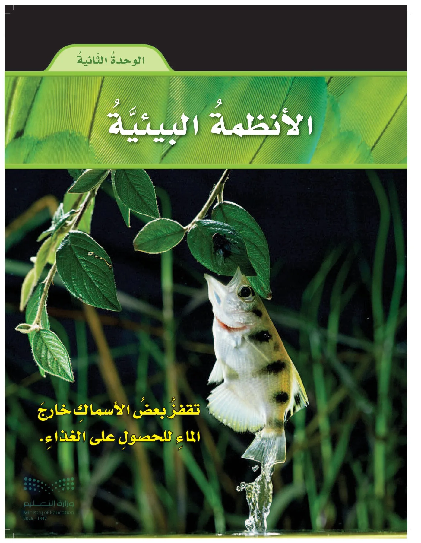 العلوم page-94