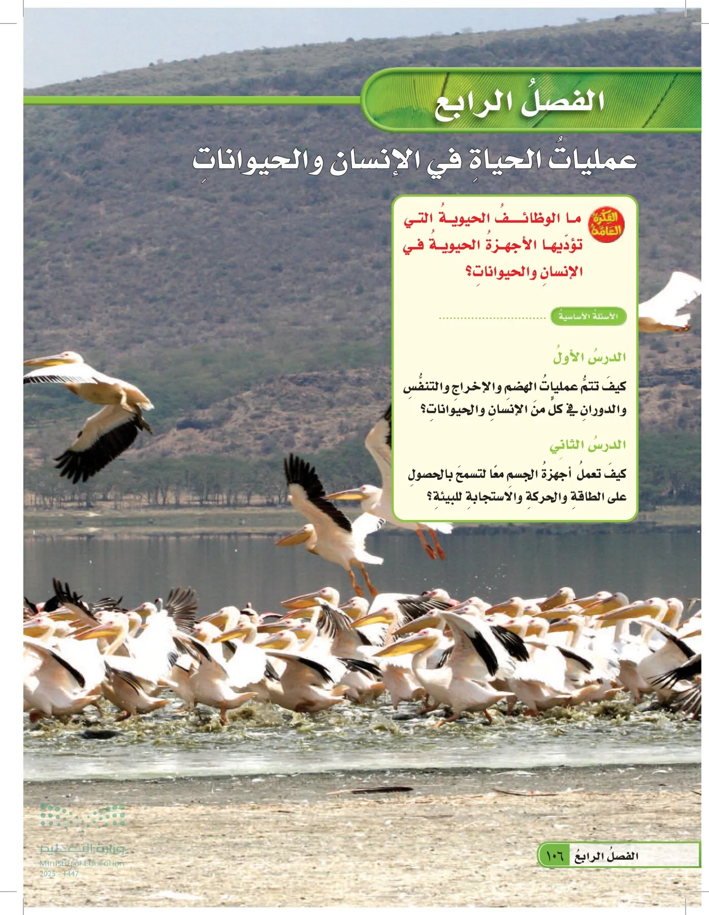 العلوم page-105