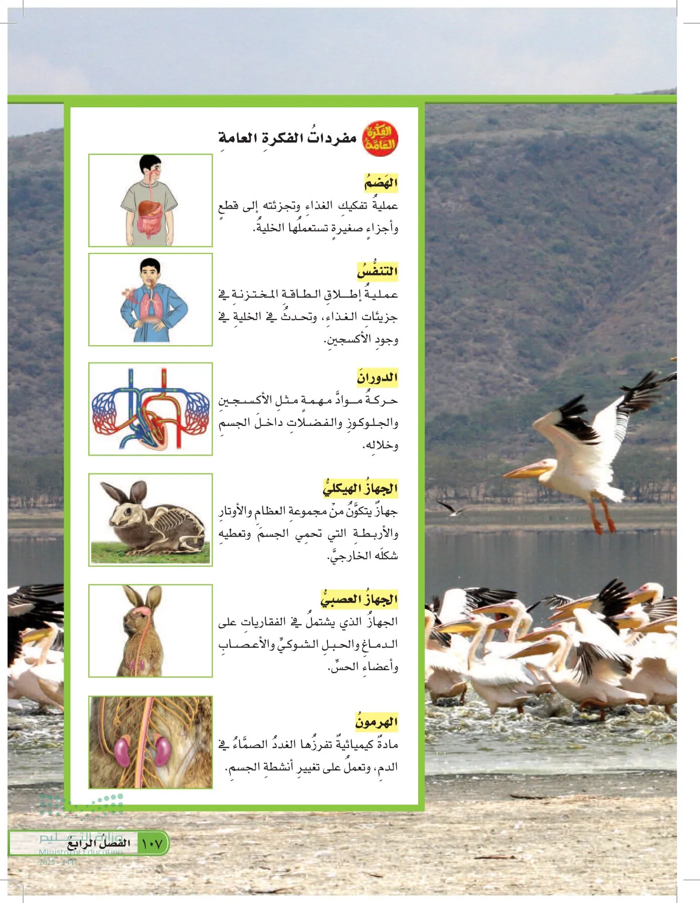 العلوم page-106