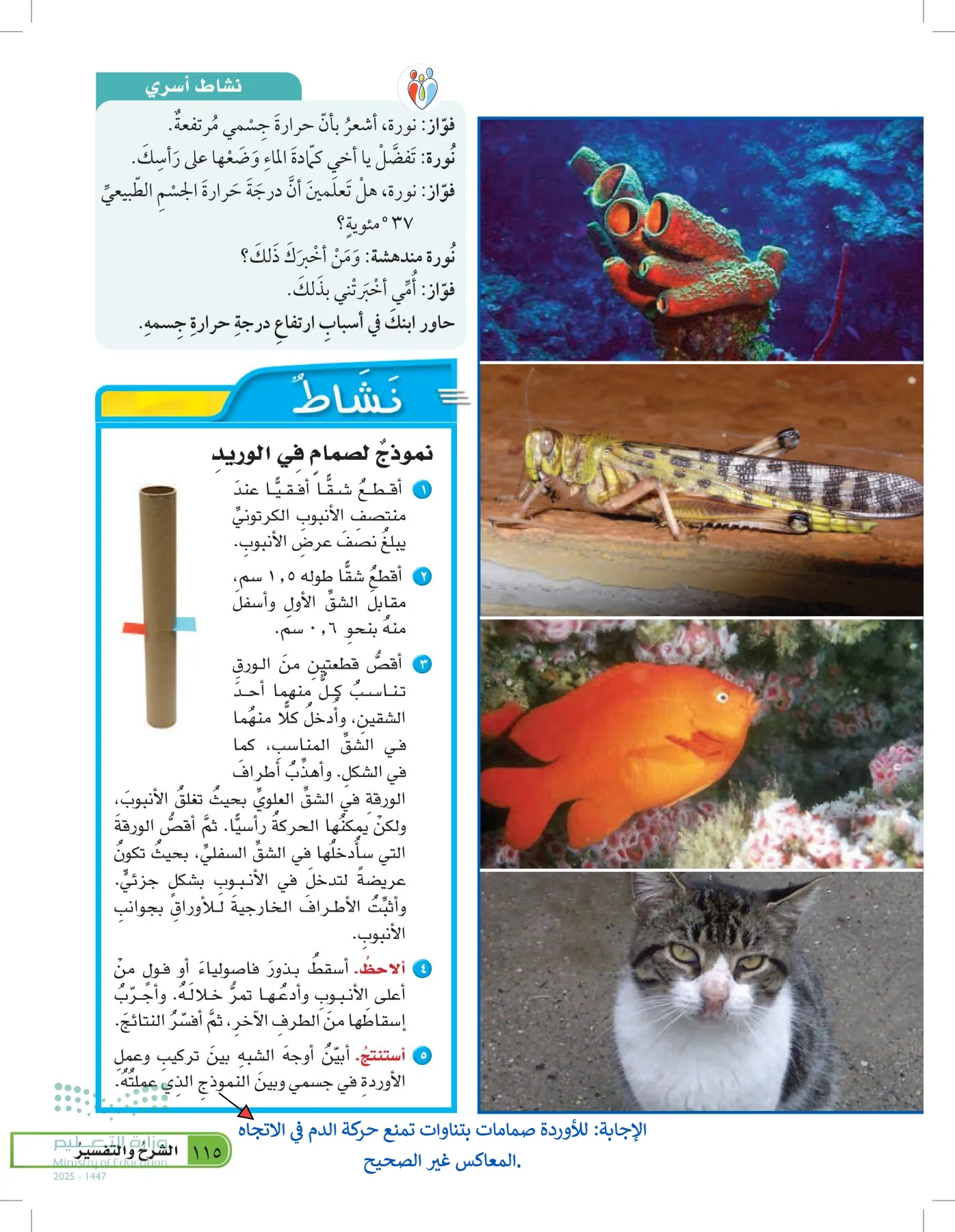 العلوم page-114